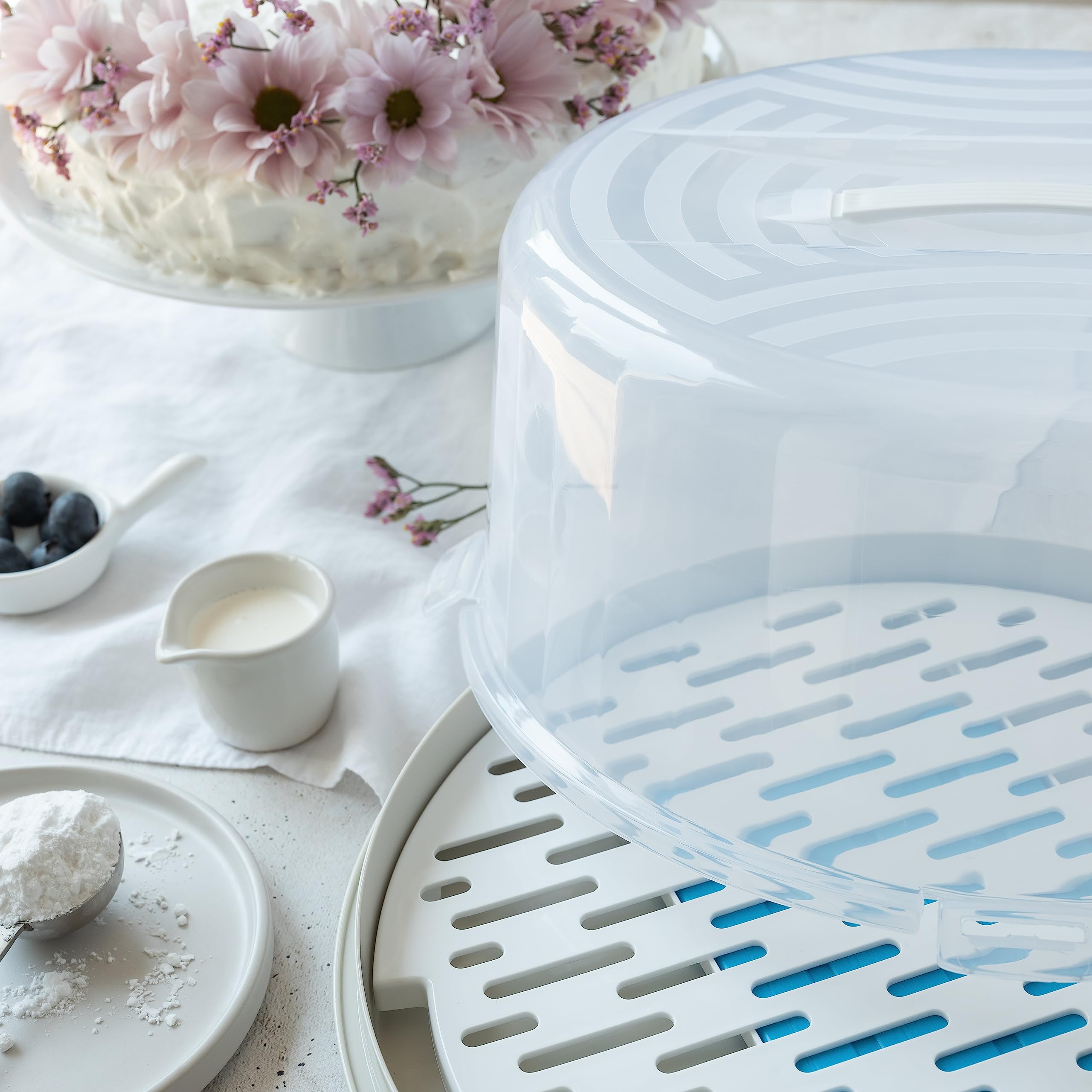 BranQ Home essential Contenitore rotondo per torta con copertura alta, pratica maniglia e inserto refrigerante, plastica (PP) senza BPA, crema/trasparente, 334 x 156 mm