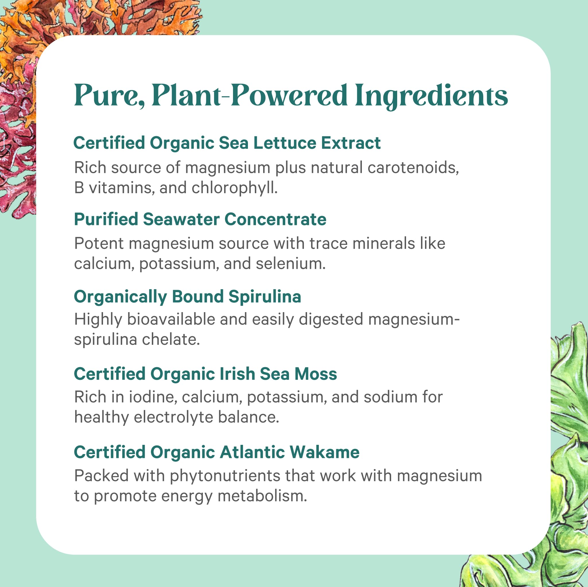PURE SYNERGY Vital Ocean Magnesium Supplement (60 Capsules) — Amazon image 5
