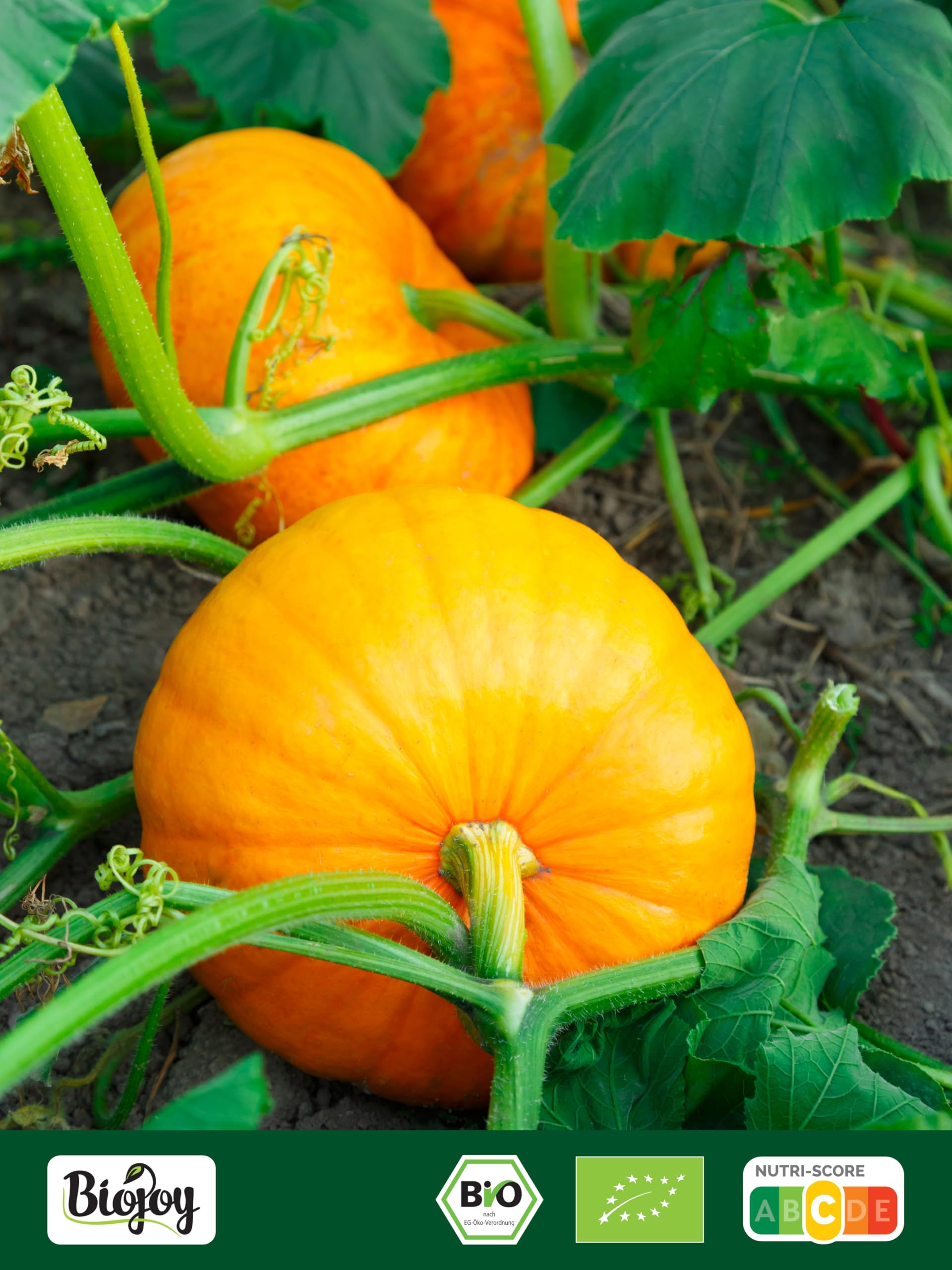 Biojoy Semillas de Calabaza peladas Orgánicas 1 kg crudas sin sal