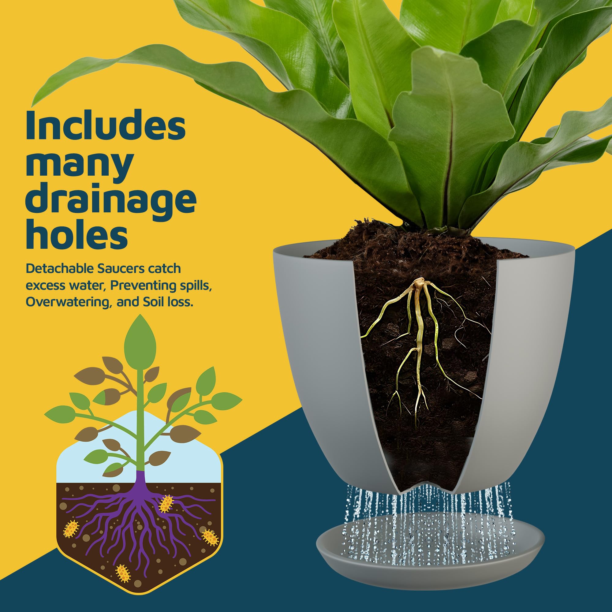 2 Pot Pour Orchidée En Plastique Transparent Avec Trous De Drainage Et