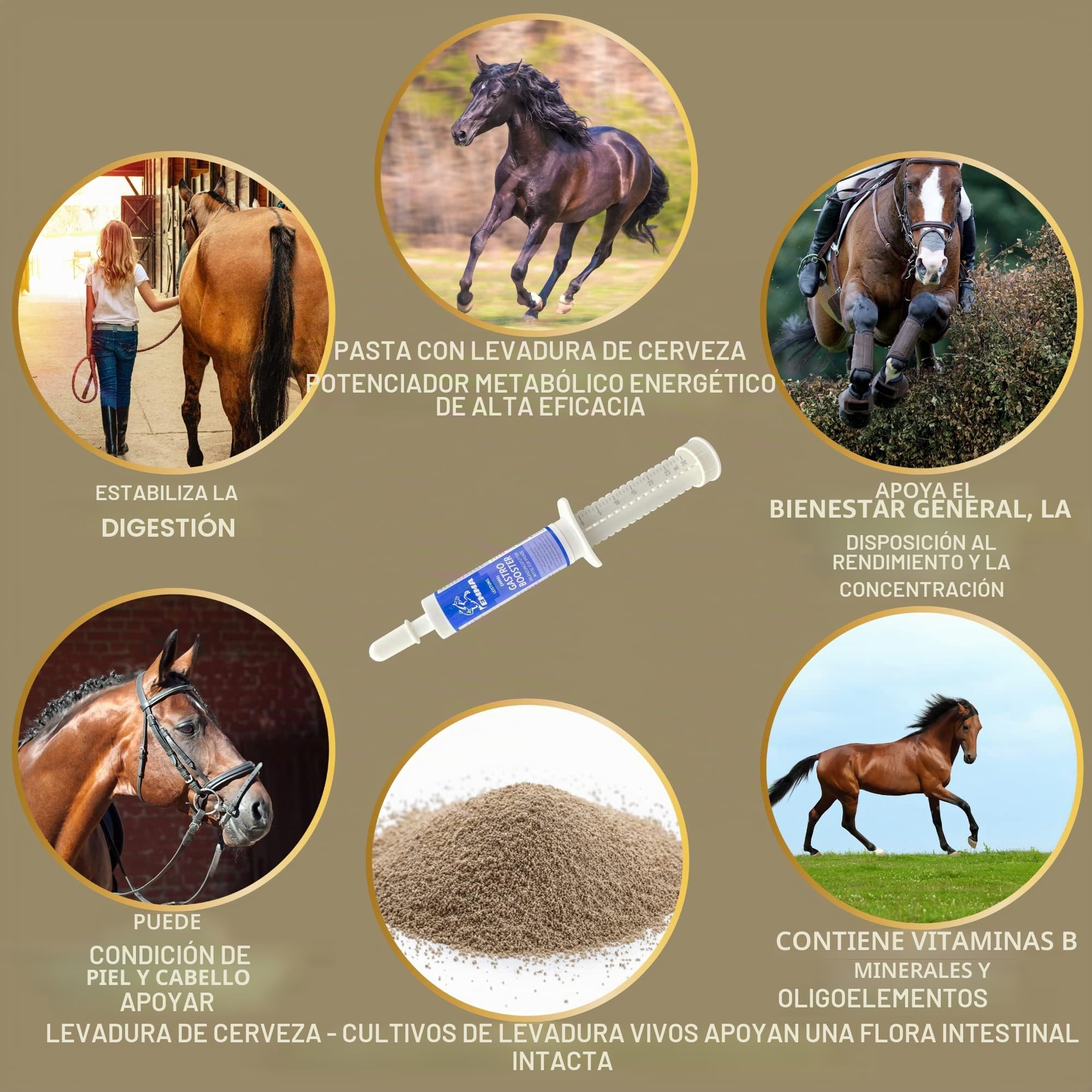 Estómago Intestino Booster Caballo - Probióticos - Levadura de Cerveza I Vitamina E Caballo Cultivos de Levadura Flora Intestinal Tracto Gastrointestinal después de Cólicos Vómitos Agua Diarrea 30ml