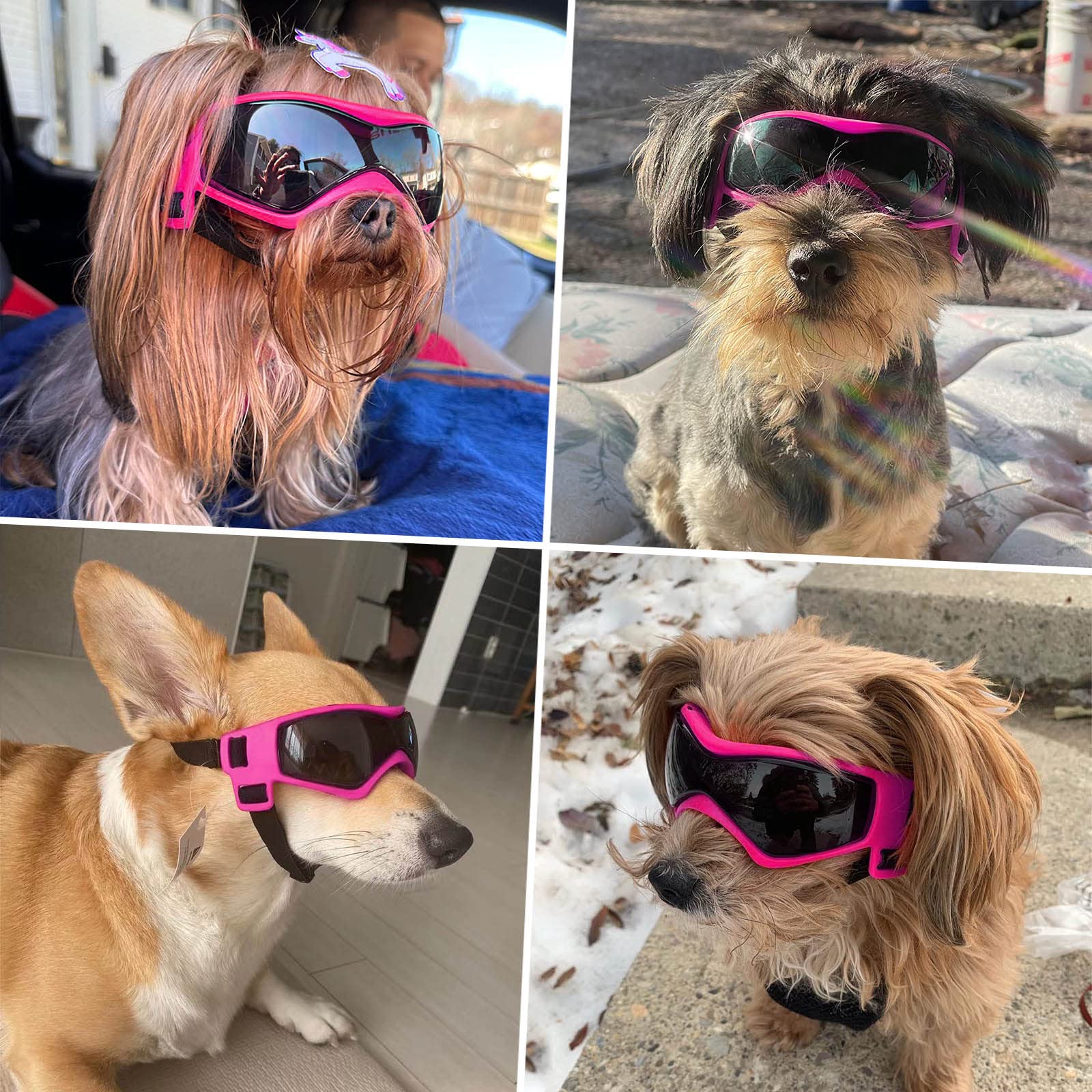 Occhiali da Sole per Cani Occhiali Protettivi per Cani Occhiali da Sole Anti-UV Protezione per gli Occhi per Cani Piccoli/Medi - Rosa