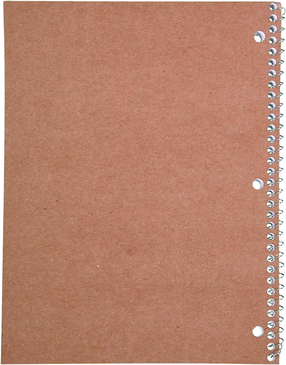 Mead Spiral Notebook, 1 Subject, Wide Ruled Paper, 70 Sheets, 10-1/2" x 8", Green (05510AC5)