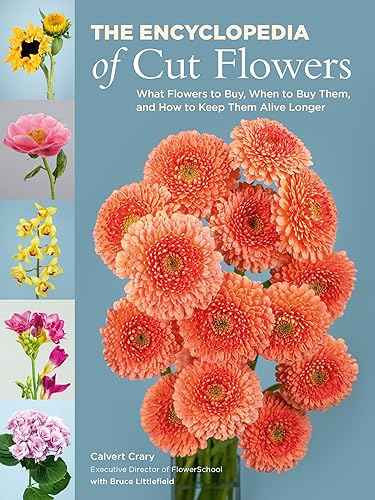 The Encyclopedia of Cut Flowers: What Flowers to Buy, When