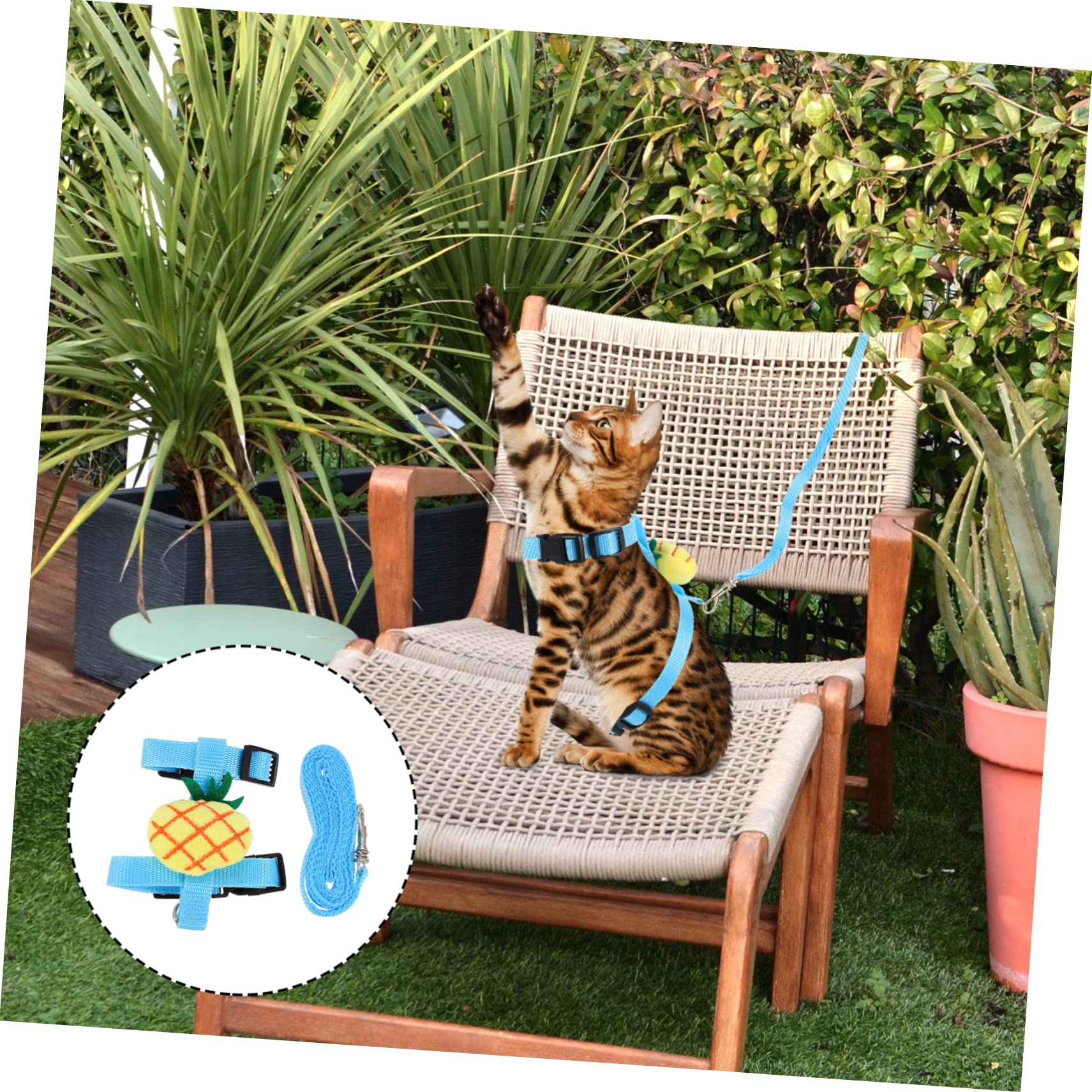 Sosoport 5sets Per Gatti e Conigli Con Guinzaglio Comodo e Pratico Per Passeggiate All Aperto Adatto Piccole Taglie Design Carino Forma Di Coniglio Facil Indossare Usare
