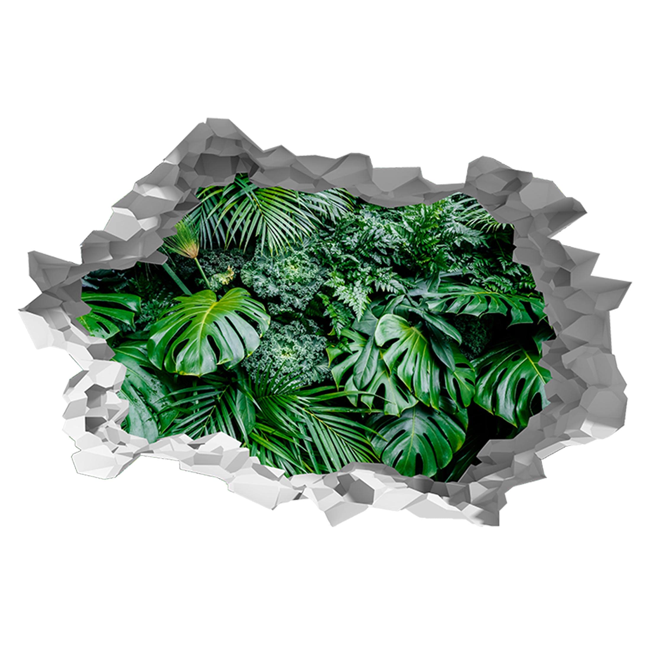 Amazon.de: Tropisches Monstera-Blatt 3D-Loch in der Wand Effekt B  Wandaufkleber, 125 cm x 83 cm