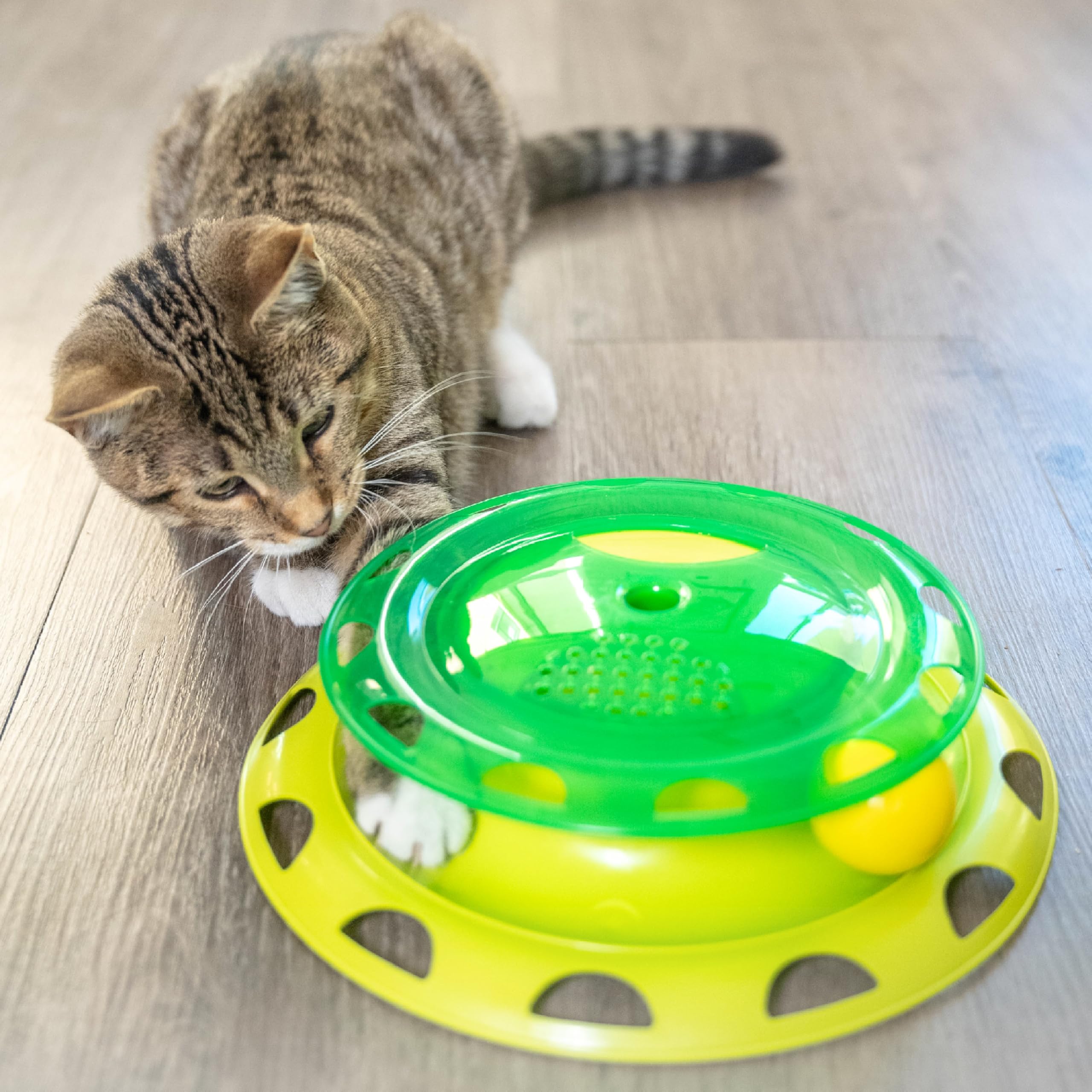 Petstages Catnip Chaser - Spielschiene - interaktives Katzenspielzeug - Grün