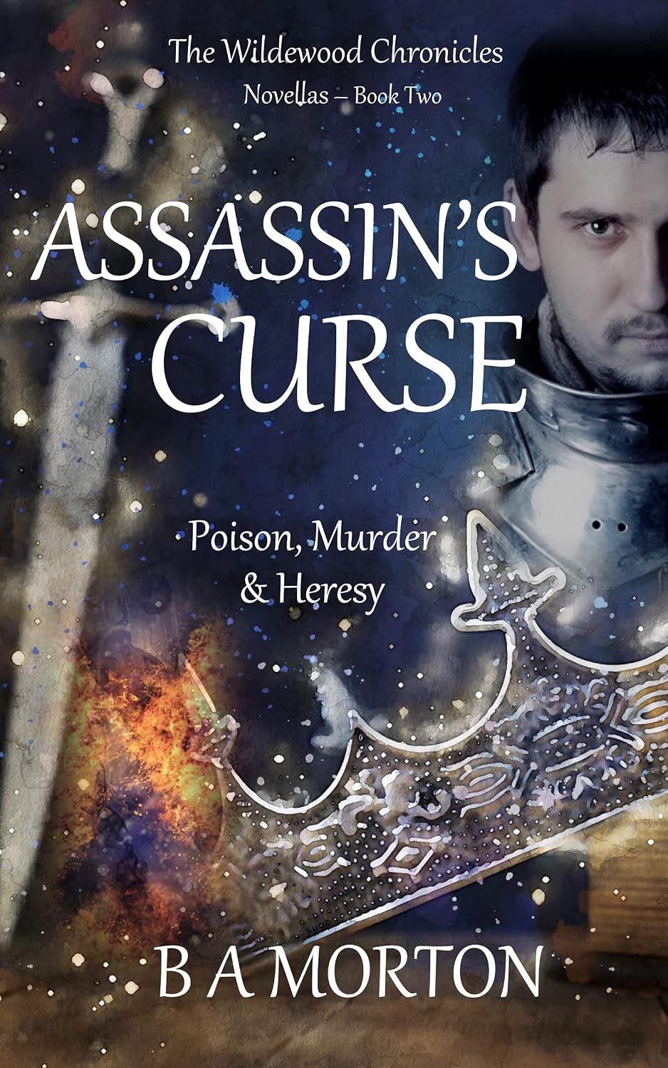 Assassin's Curse The Wildewood Chronicles Novellas eBook