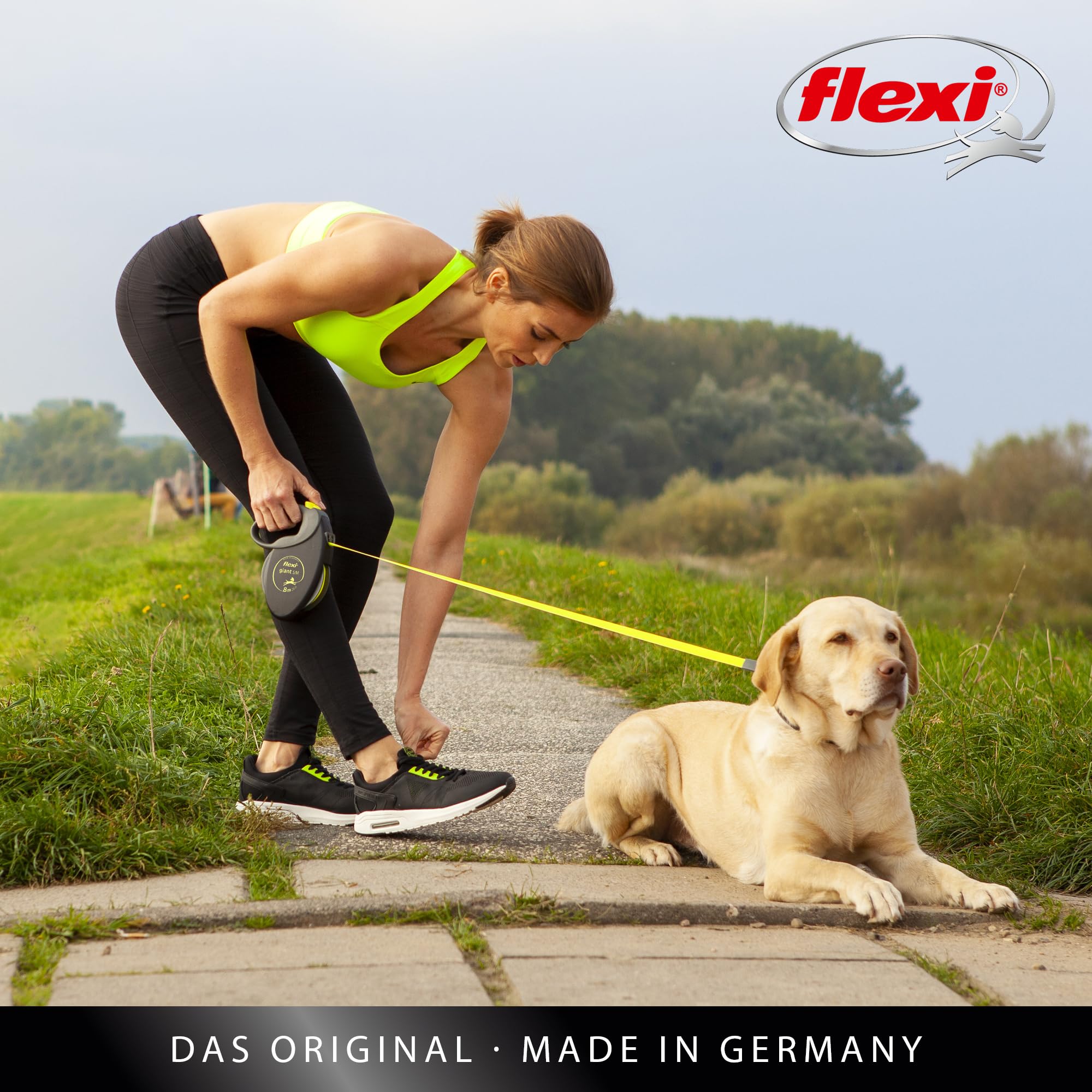 FLEXI - Guinzaglio Giant L Nastro 8 m - Cintura Robusta - Impugnatura Ergonomica Morbida - Custodia Moderna - Moschettone Solido - Per Cani Robusti Fino a 50 kg - Nero