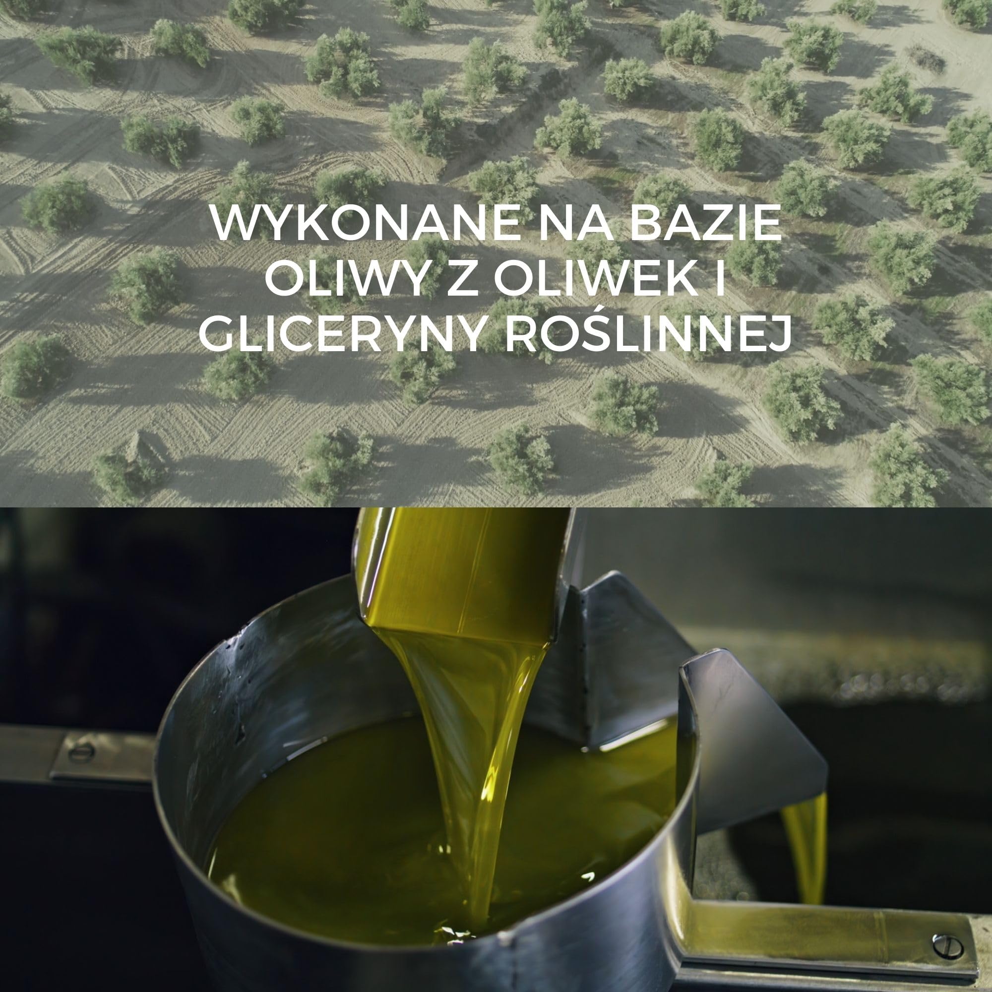 Mydło Organiczne Castile 2L | W 100% Naturalne z Oliwy z Oliwek | Wielofunkcyjne: Ciało, Włosy, Dom | Bez Siarczanów i Perfum | Nietestowane na Zwierzętach, Wegańskie