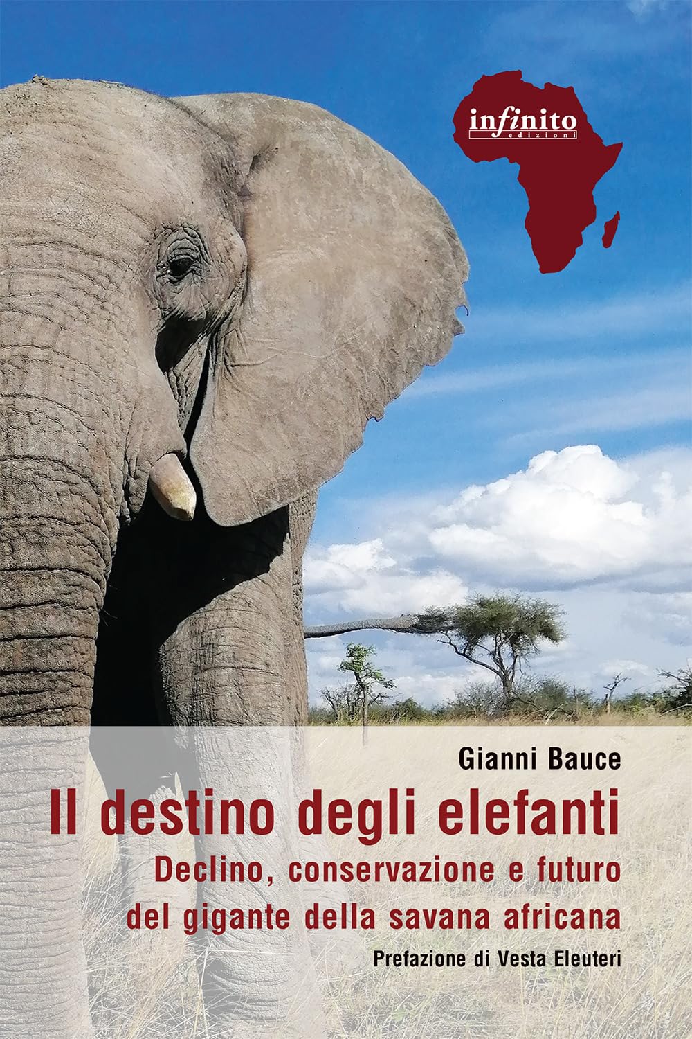Il Destino Degli Elefanti. Declino, Conservazione E Futuro Del Gigante Della Savana Africana - 4