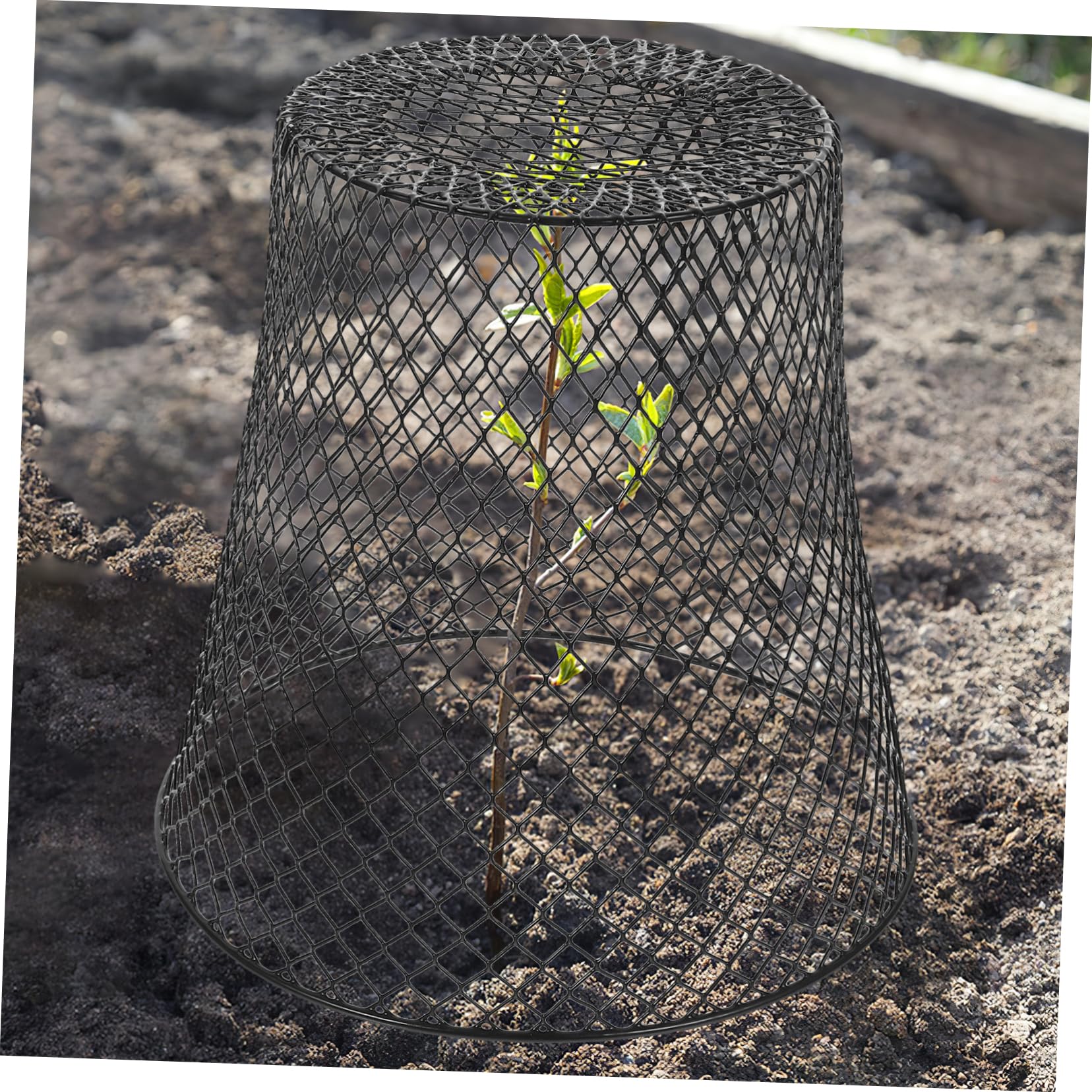 Yardwe Set 4 Pezzi Copertura per Piante in Ferro Nero, Gabbia Protettiva Robusta per Piante Massima Penetrazione della Luce, per Giardino e Orto