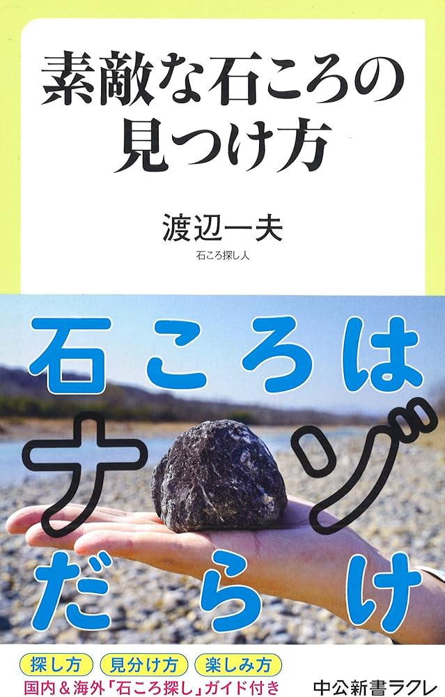 Amazon.co.jp: 素敵な石ころの見つけ方 (中公新書ラクレ 626) : 渡辺