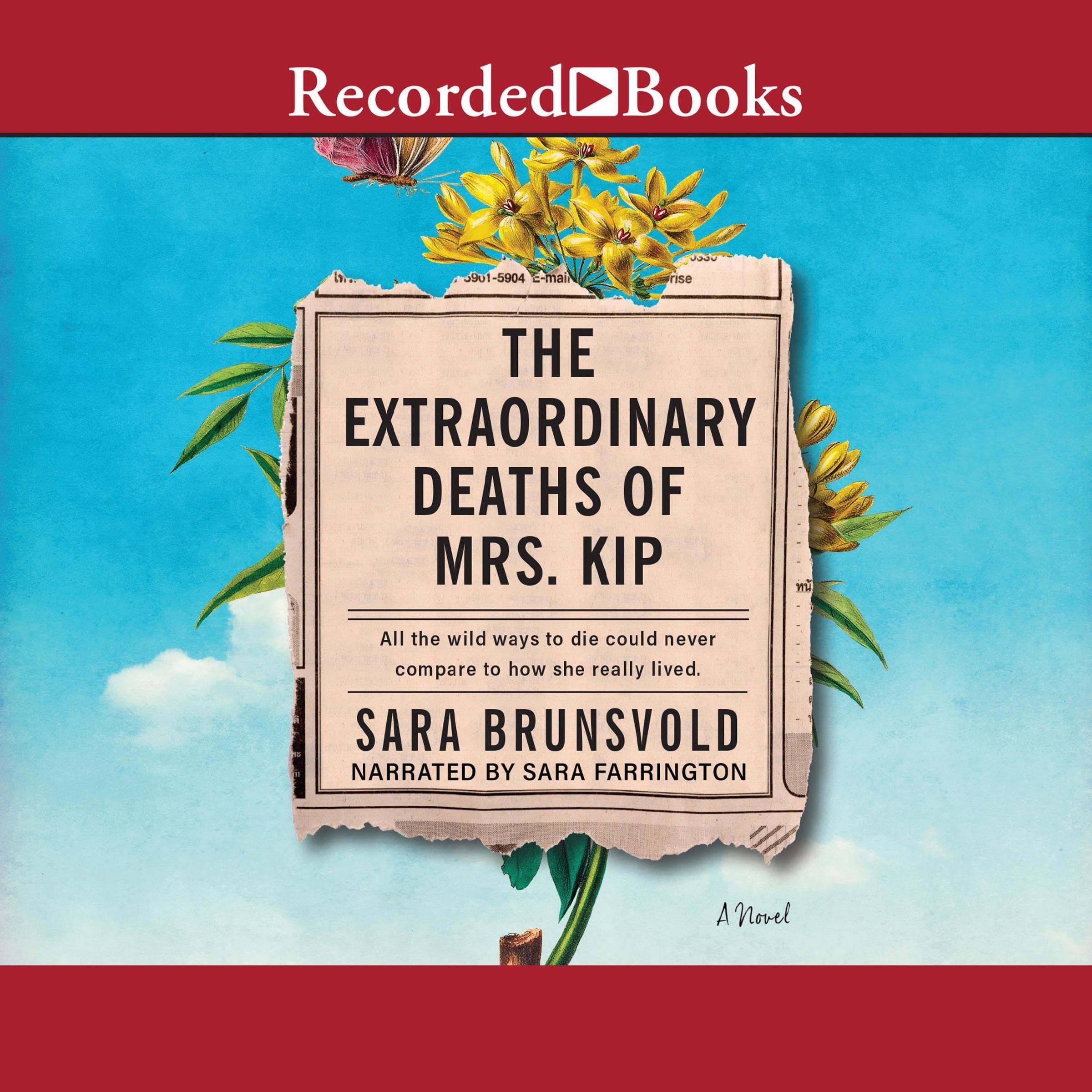 Cover art for The Extraordinary Deaths of Mrs. Kip