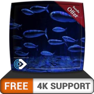 Free running fish aquarium HD - aproveite a raça de peixes em sua HDR 4K TV, 8K TV e dispositivos de fogo como papel de parede, decoração para férias de Natal, tema para mediação e paz
