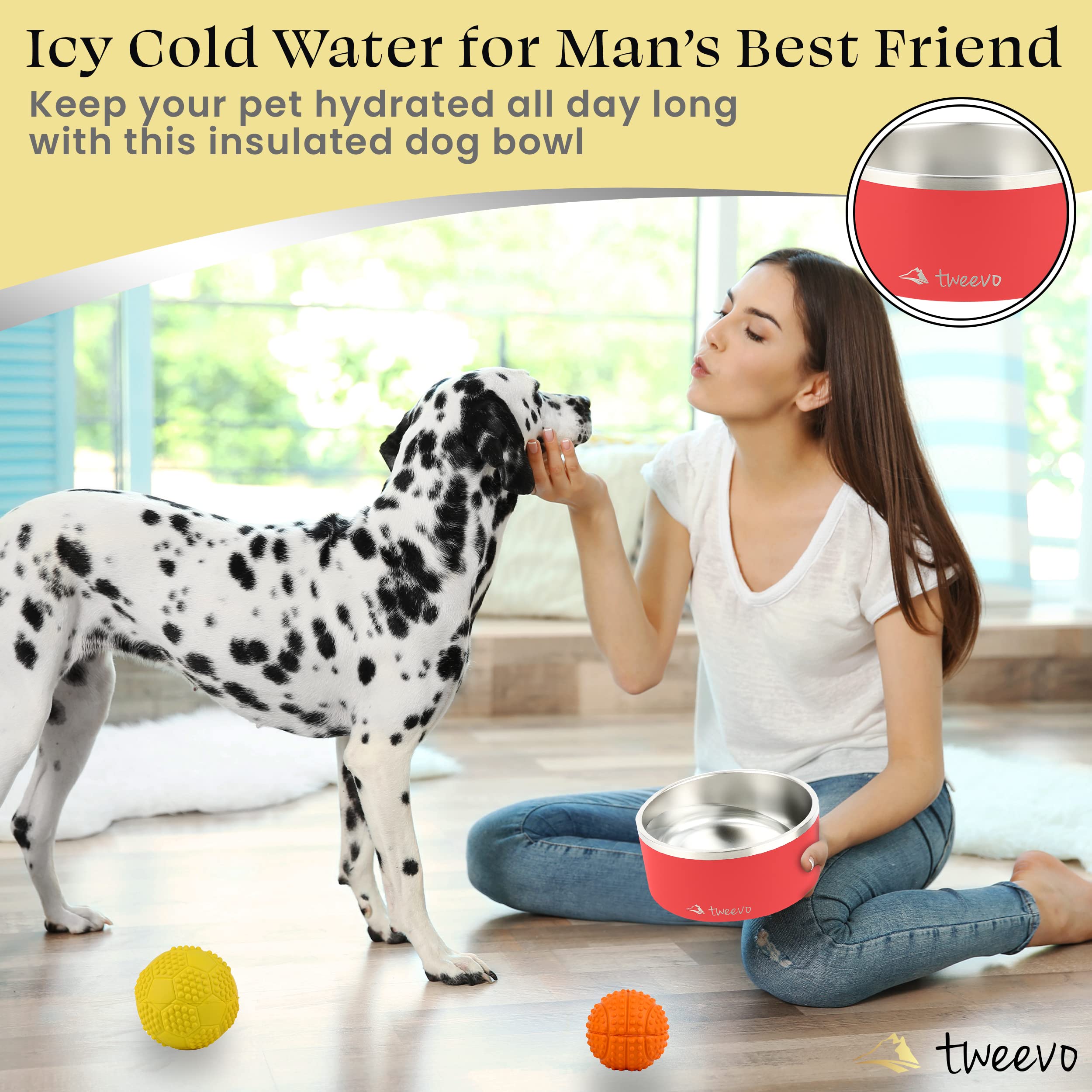 Is It Ok To Give A Dog Ice Cold Water