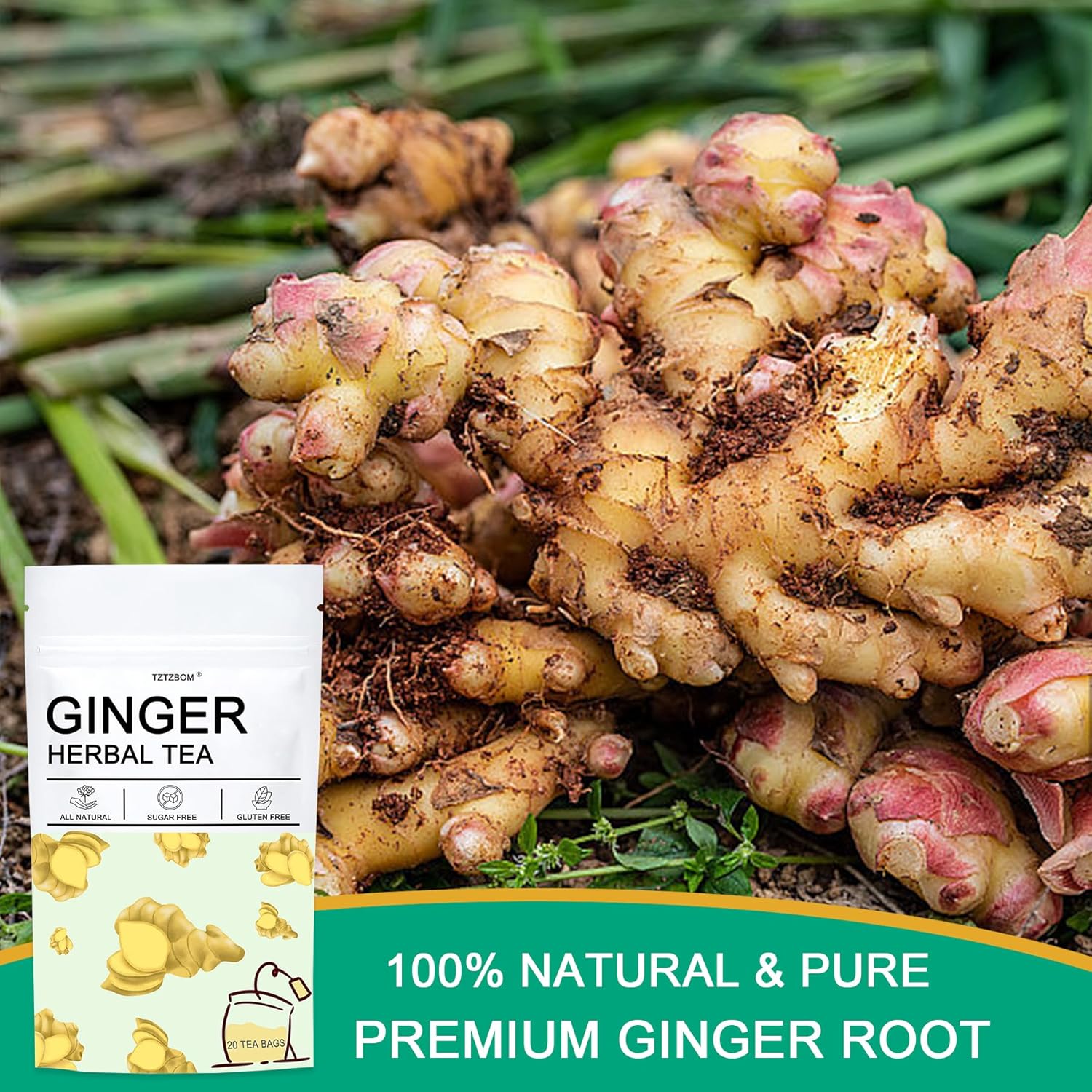 TZTZBOM Ginger Tea Bags - 100% Pure Ginger Root & Lemon Peel & Liquorice Root - Soothing & Spicy Blend Natural Herbal Tea (20 Tea Bags) - Image 2