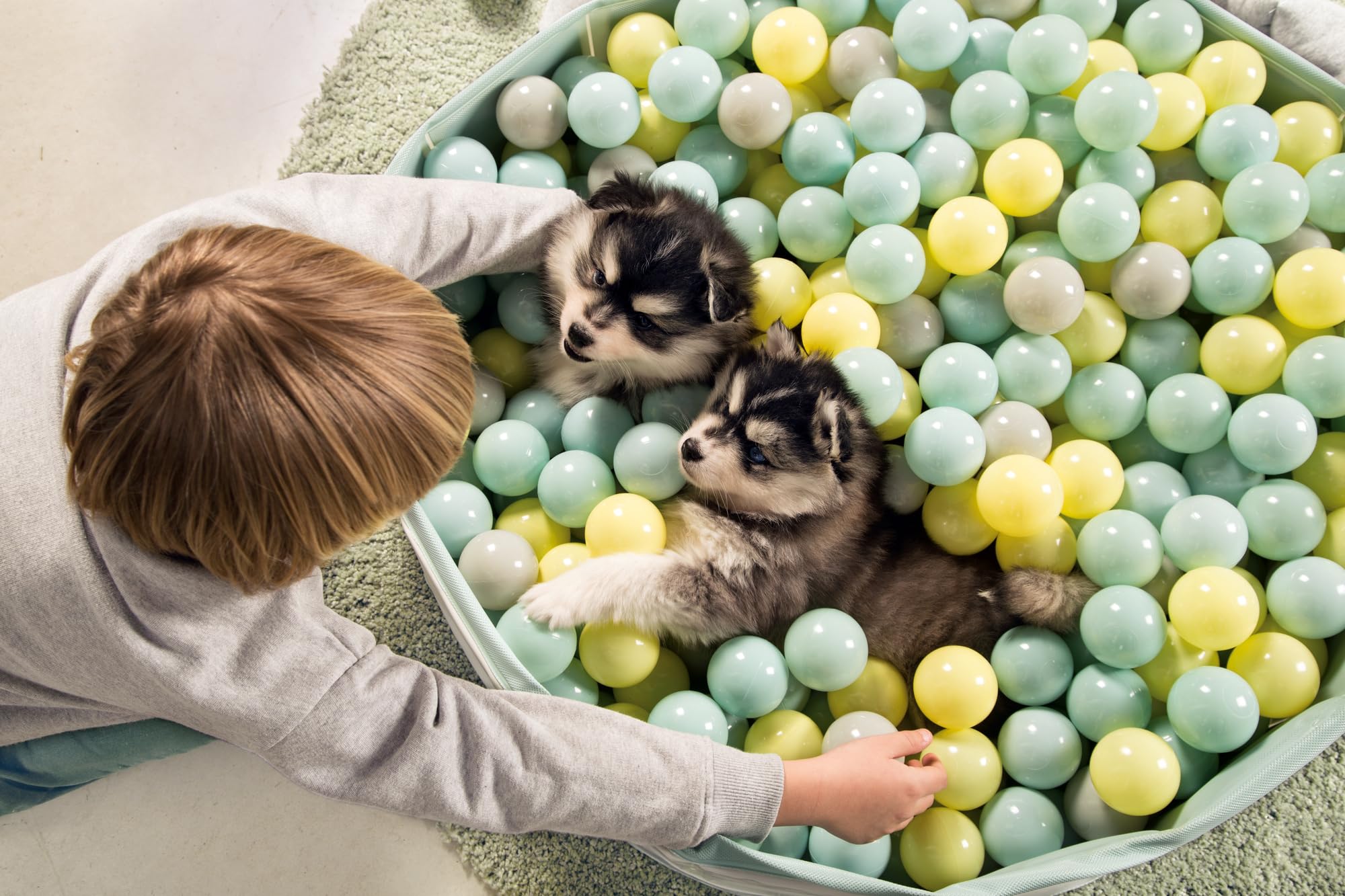 Beeztees Welpe Funchie Bällebad, Hundespielzeug, 80x80x20 cm