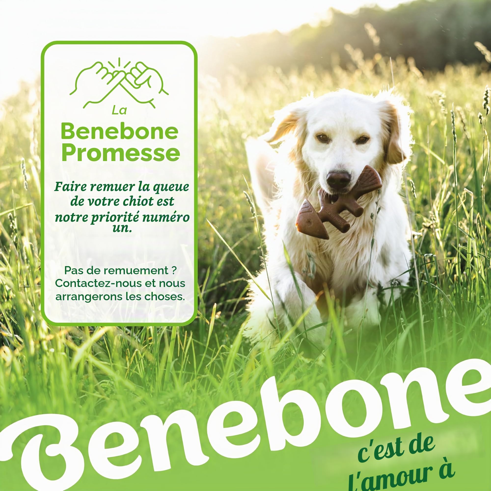 Benebone Boîte de Jouets à mâcher Durable pour Chien avec Wishbone, Fishbone, bâton et zaggler - Taille M