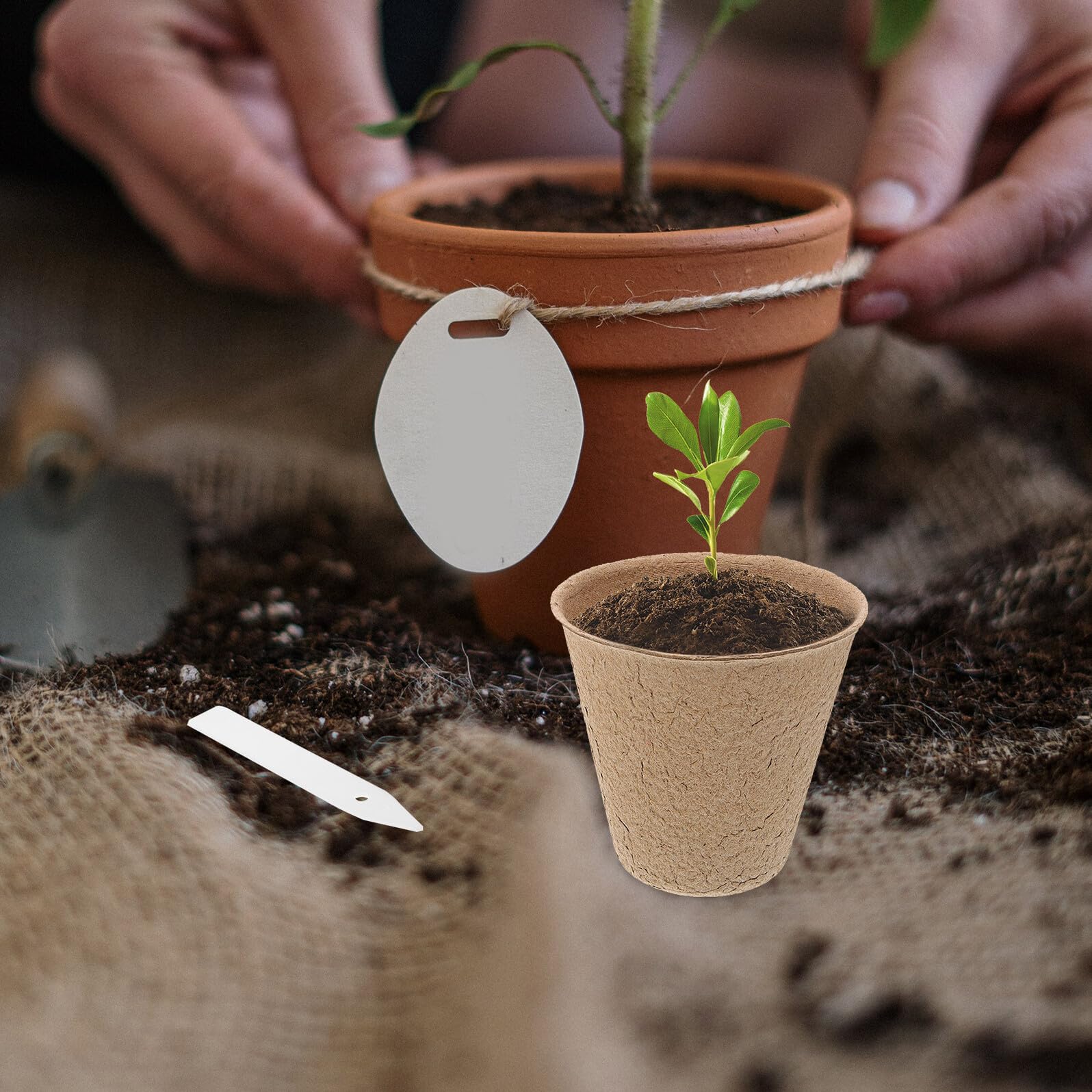 TOYANDONA 110stücke Biologisch Abbaubare Anzuchttöpfe Aus Torf Für Pflanzen Für Anzucht Von Setzlingen Und Stecklingen Mit Labels Für Einfache Identifikation