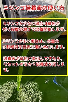 大量培養！【ミジンコ培養液培養セット】30L用 71HnpN3qB0L._UF894,1000_QL80_.jpg