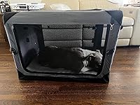 Review Image by Victoria Lopez Victoria Lopez