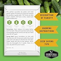 Vista 2 de Semillas de pepino Spacemaster para plantar Variedad compacta autóctona sin OMG para jardines de espacios pequeños – Semillas de jardín