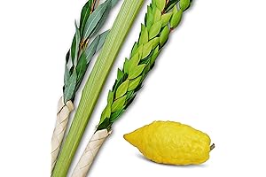 Ultra-Mehudar Lulav and Etrog Set for an Enchanting Sukkot Celebration