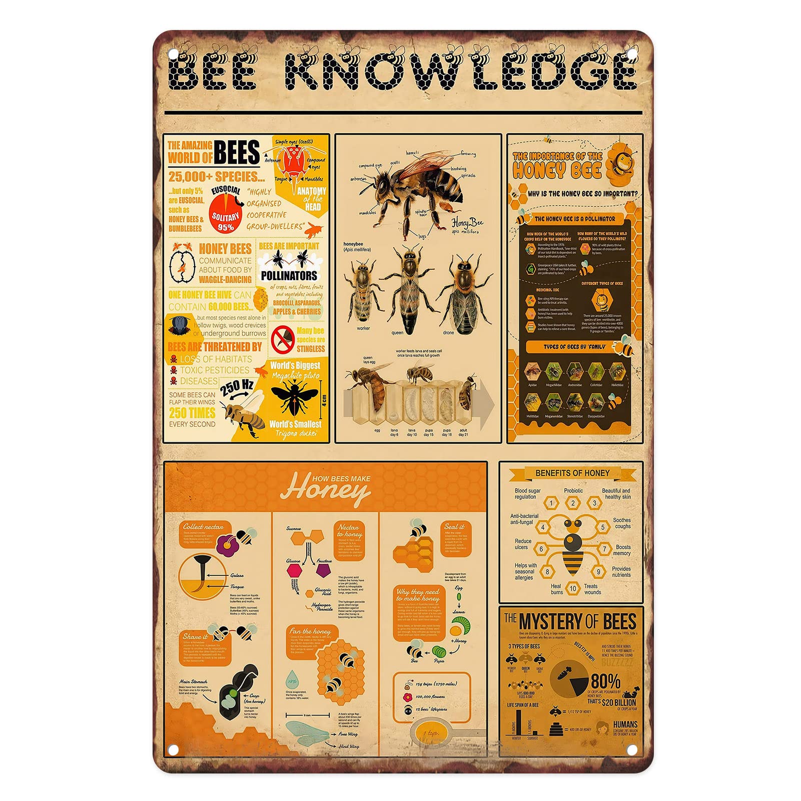 Metal Tin Sign Vintage Outdoors Honey Bee Knowledge Anatomy Decoration for Farm, Yard, Garden Wall Decor 12 X 8 Inches