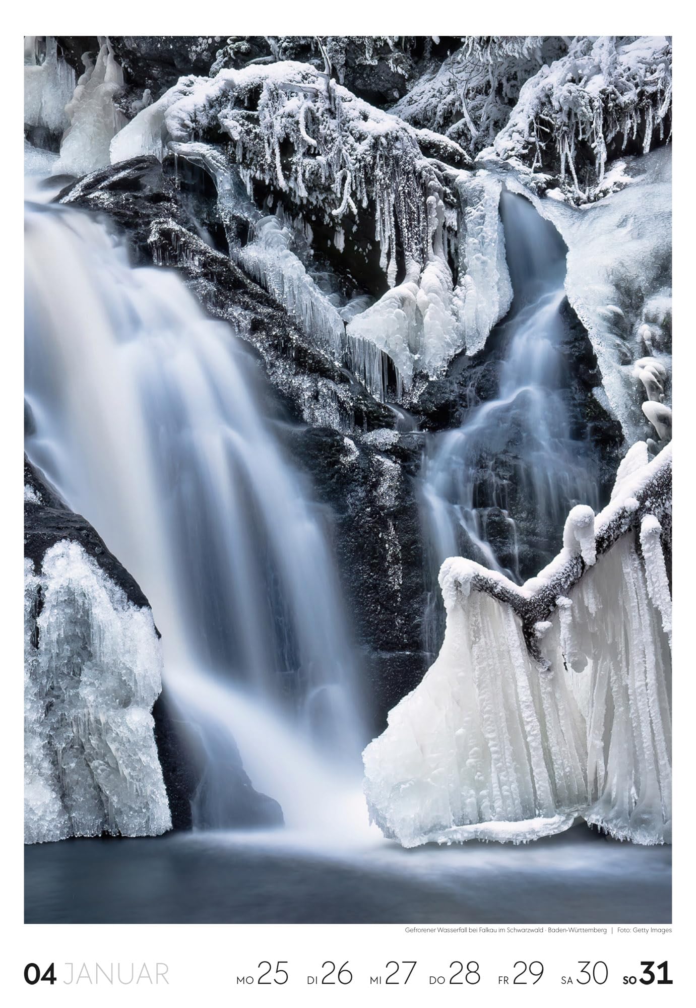 Natur Wochenkalender 2027: Natur-Kalender mit 53 großformatigen Bildern im Hochformat (29x42 cm) | Heimische Flora und Fauna