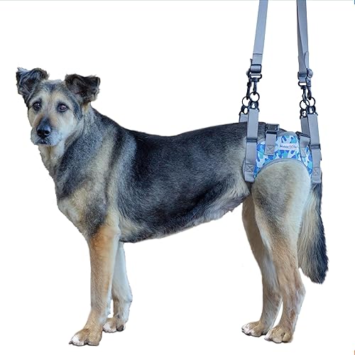 Walkin' Warrior - Arnés trasero para perro para movilidad, asas ajustables, arnés para perros mayores y mascotas que se recuperan de una cirugía