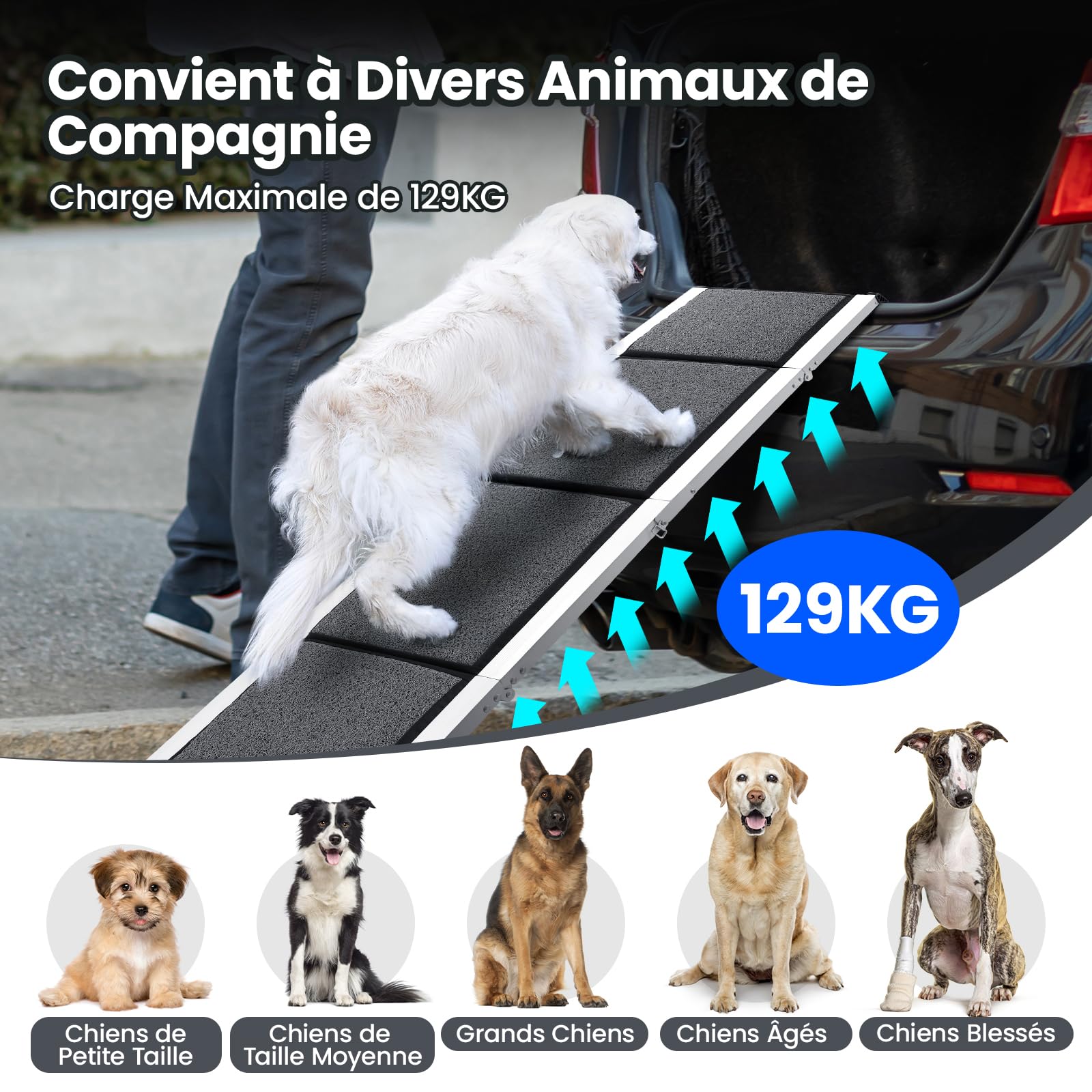 Rampe de Voiture Pliable pour Chien 170 x 44cm, Rampe Portable d'Accès Chien avec Surface Antidérapante, Cadre en Aluminium, Dog Ramp pour Camion Lit Voiture SUV, Légère et Facile à Ranger