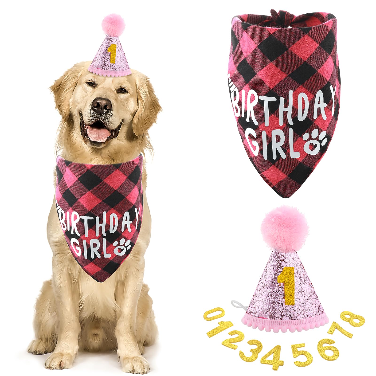 Hunde-Geburtstagsparty Set – Halstuch, Hut Mit Zahlen, Brille & Banner Für Kleine & Mittlere Hunde (blau)
