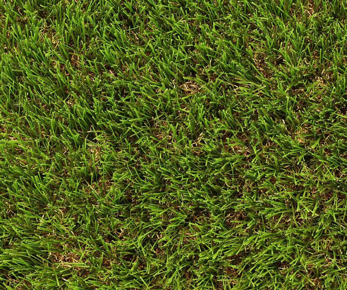 Exelgreen - Gazon synthétique - Natura 50mm - 1m x 5m