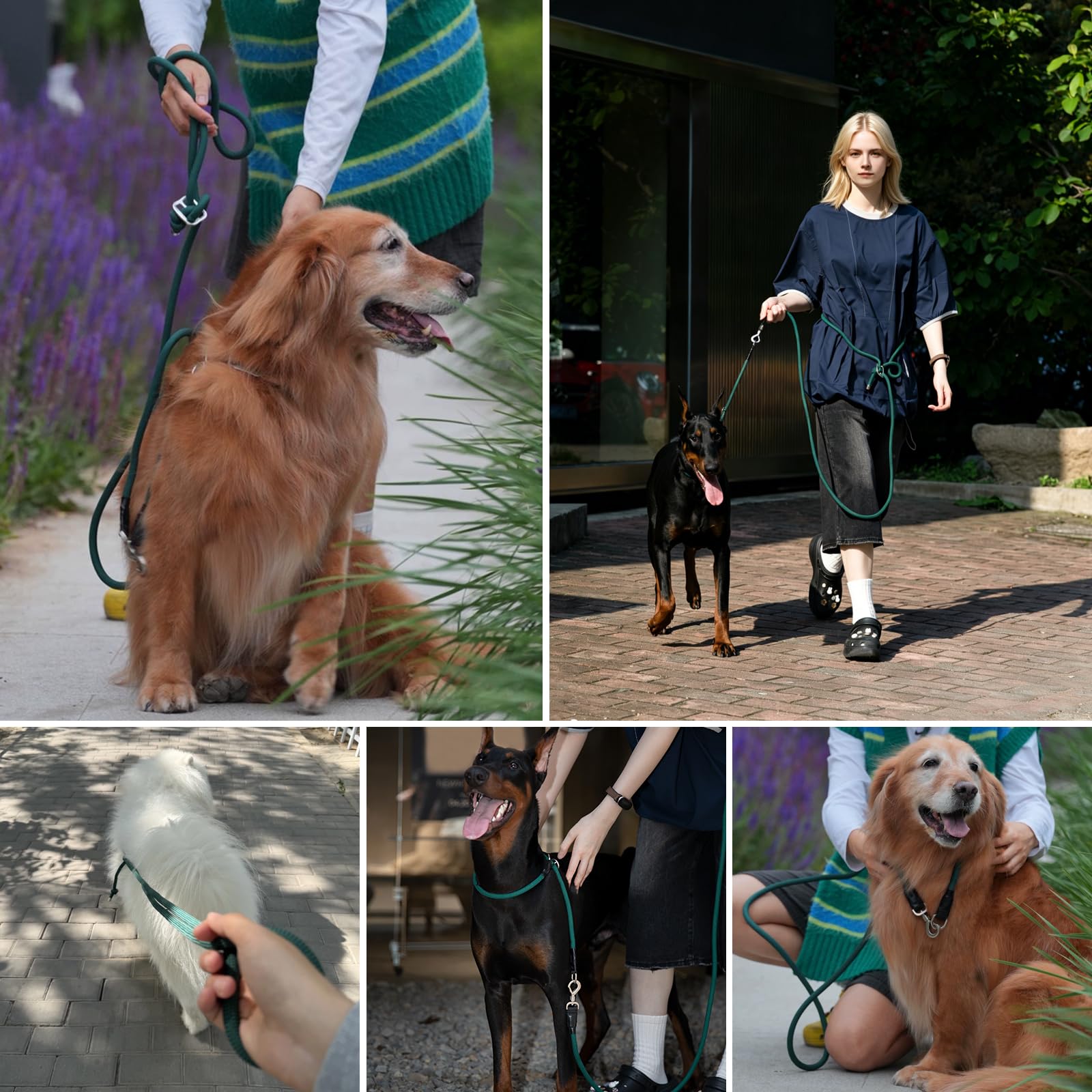Hundeleine- und Halsband-Set, kein Ziehen, verstellbare und robuste einziehbare Trainingsleine, Hände/Taille/Schulter, 1,2 m - 2,1 m, Nylonseil für mittelgroße und große Hunde (M)