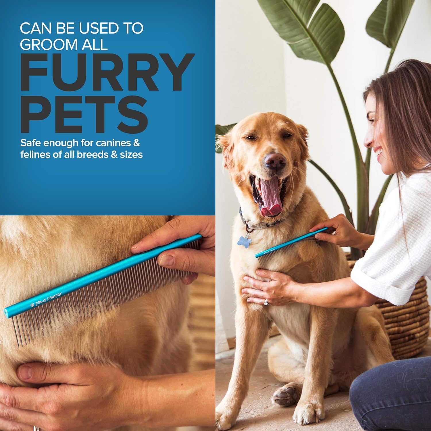 Paws Pamper Professional Greyhound Comb for Dogs and Cats : Pet Supplies