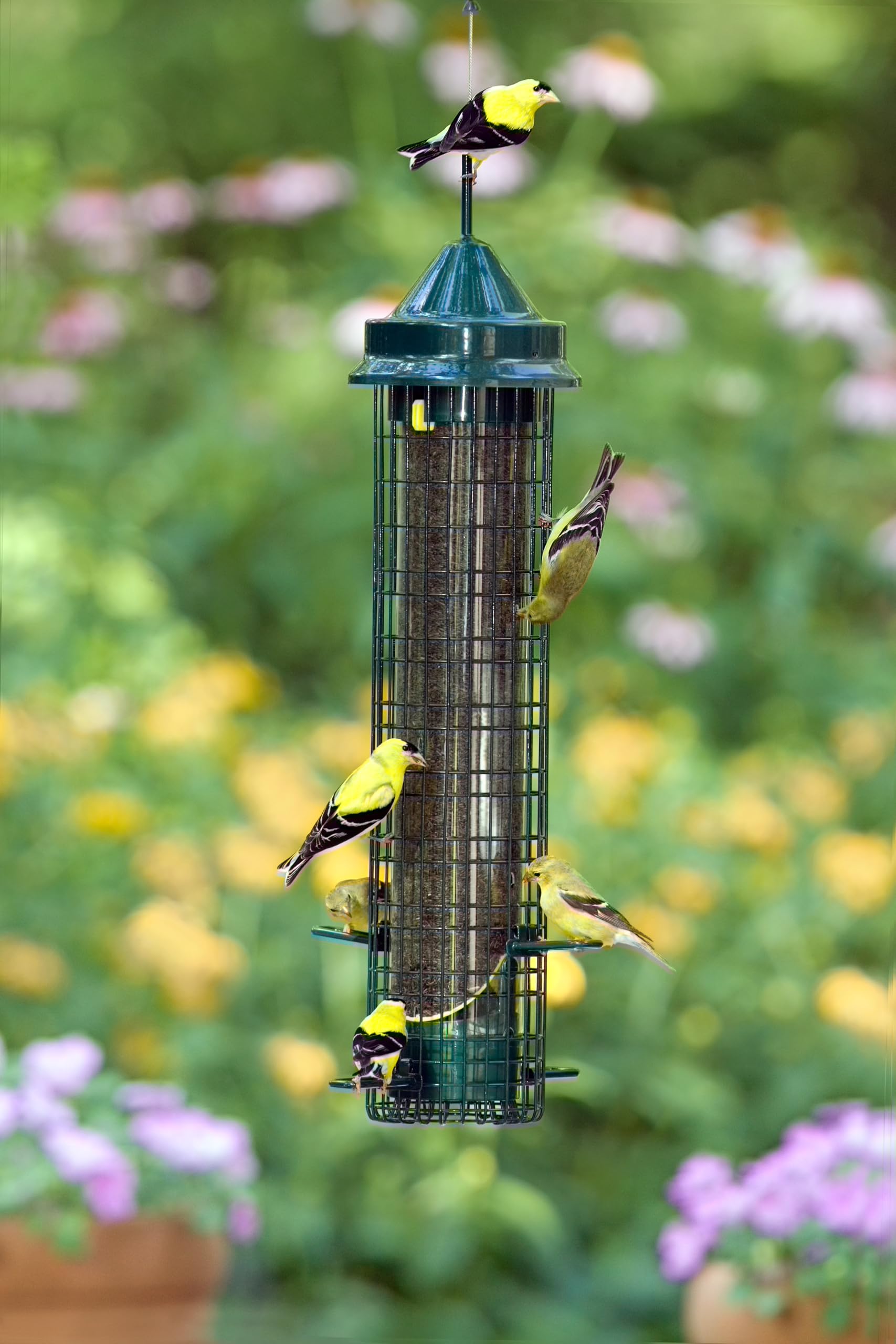 Squirrel Buster Comedero para pájaros a Prueba de Ardillas con 4 Postes de Metal y 8 Aberturas de alimentación, Capacidad de Semillas de Cardo de 2.5 Libras