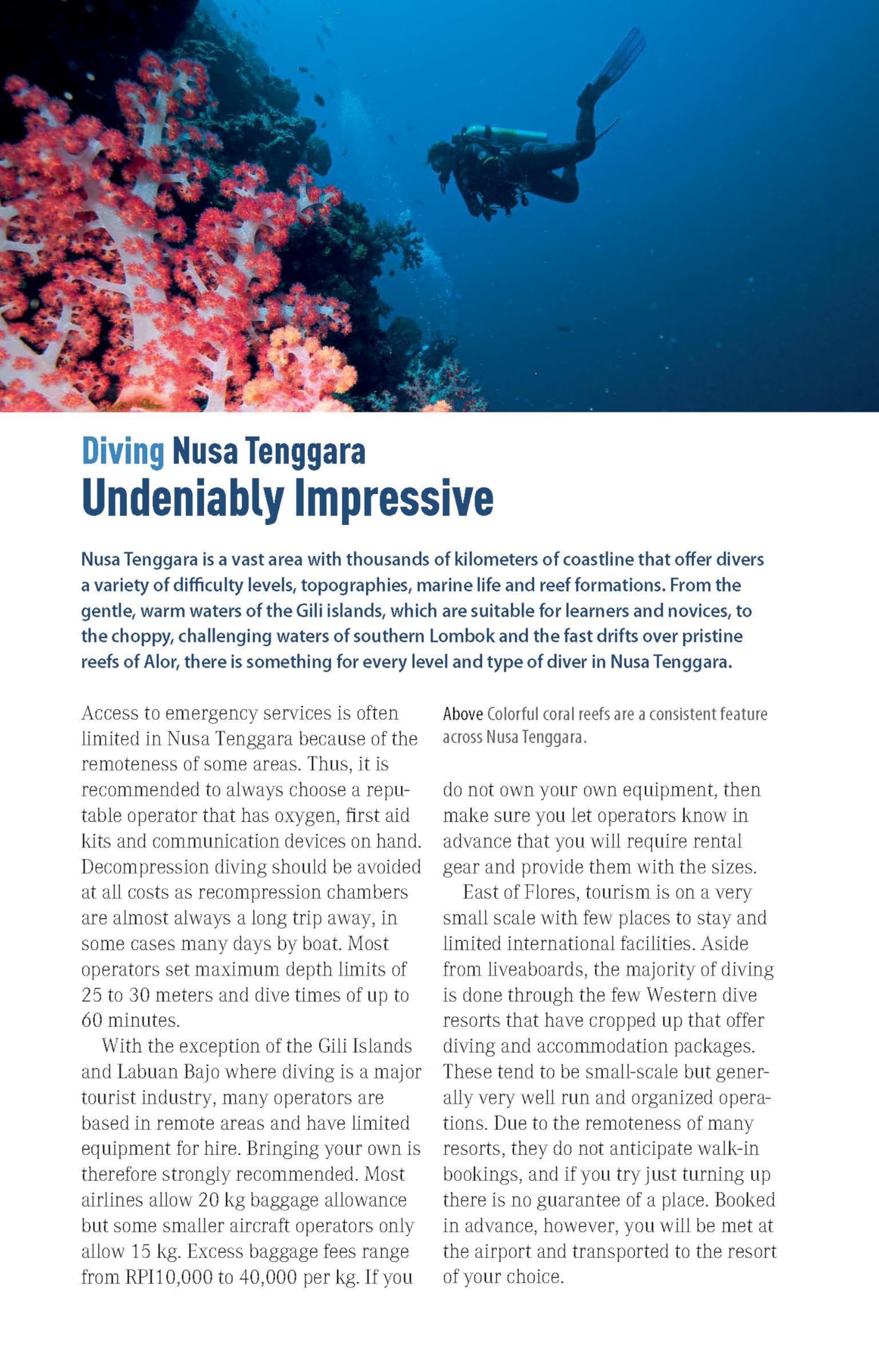 The Ultimate Guide to Diving in Indonesia: Exploring the Tropical Seas with the World's Greatest Marine Biodiversity