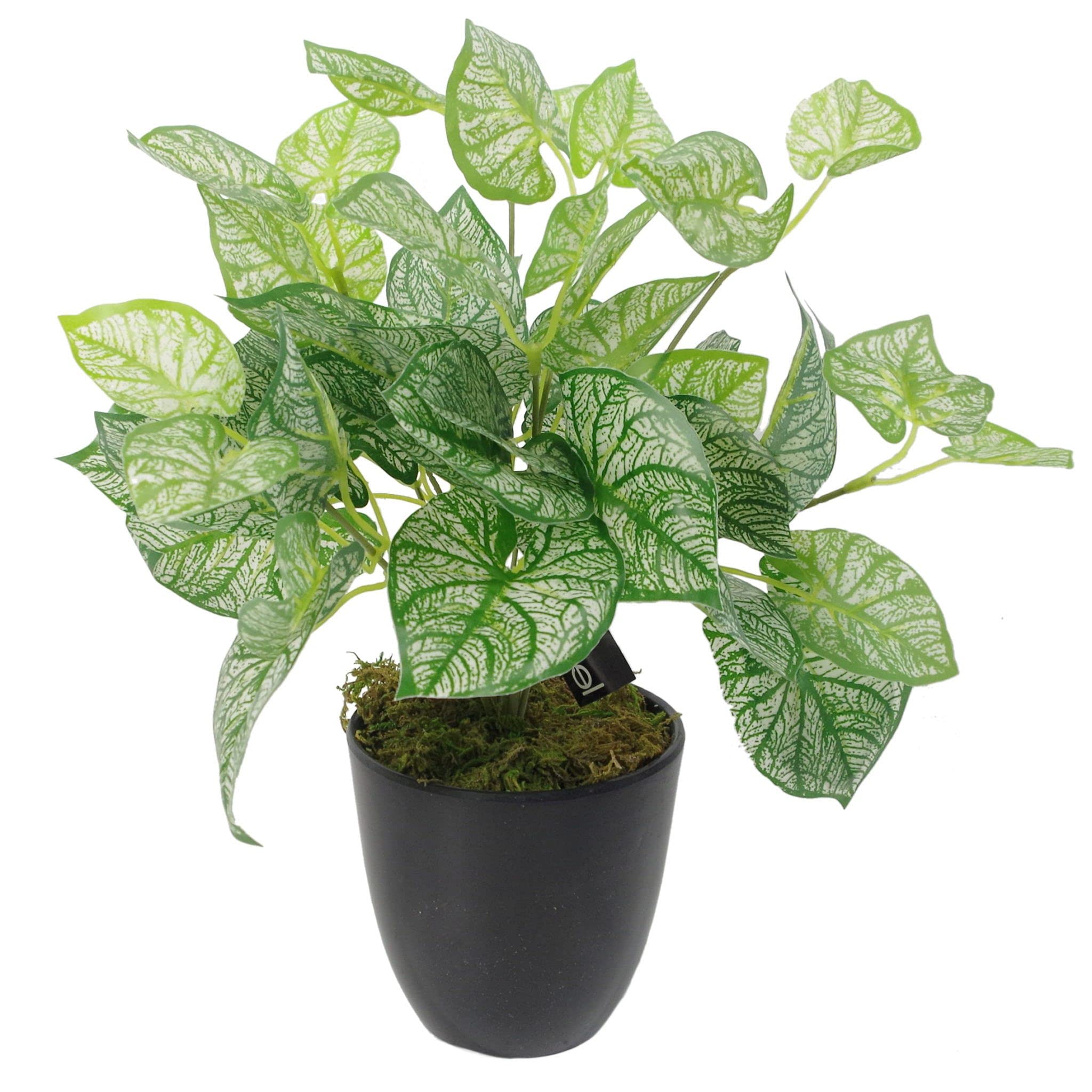 Leaf Design Realistic Artificial Fern Plant