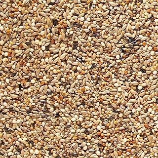 Johnston & Jeff ABZ Seed For Finches, 20 kg