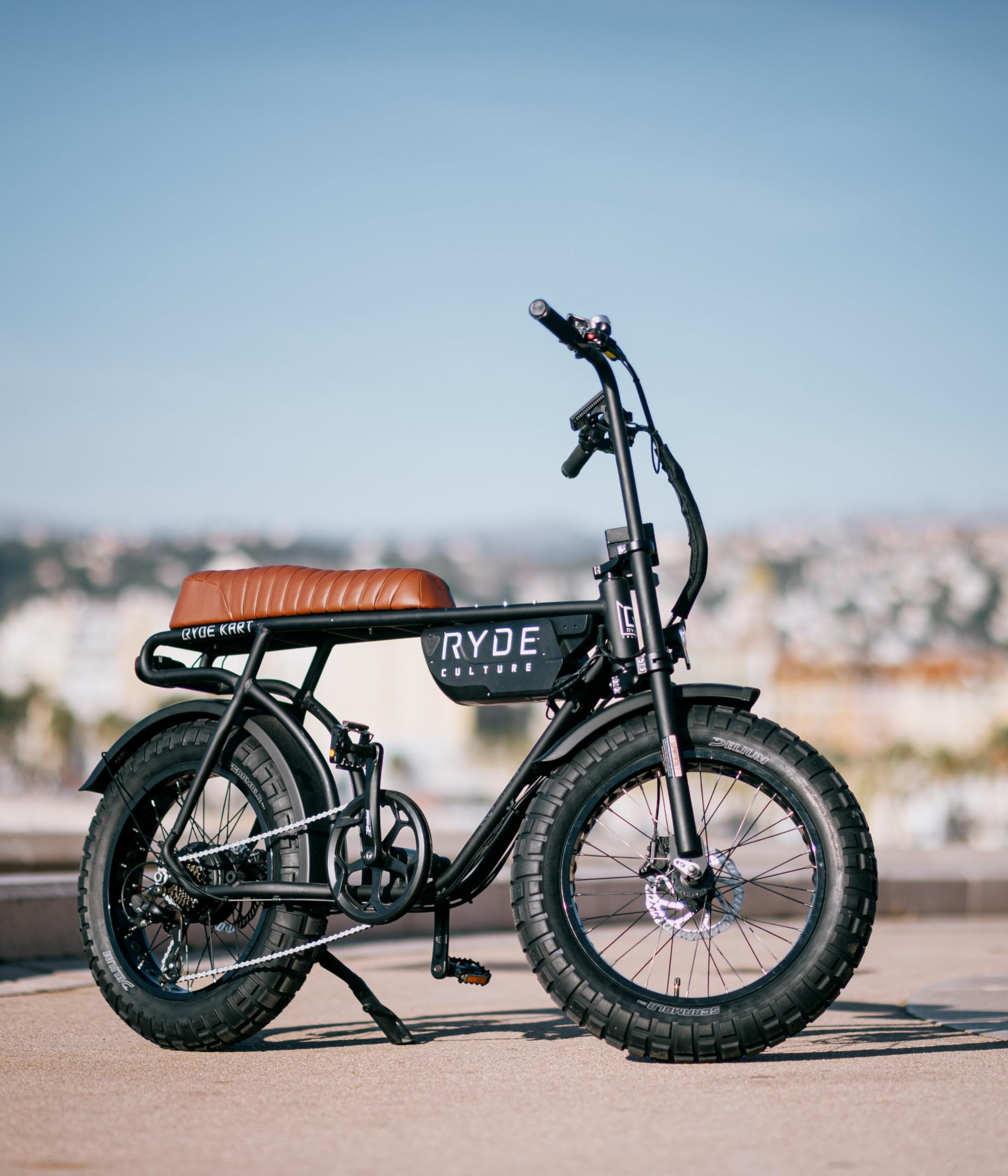 Deli Tire 20 Zoll Reifen für Elektrofahrräder SA-314 Scramblr E-Bike 20x4.50 TT für Vorder- und Hinterrad