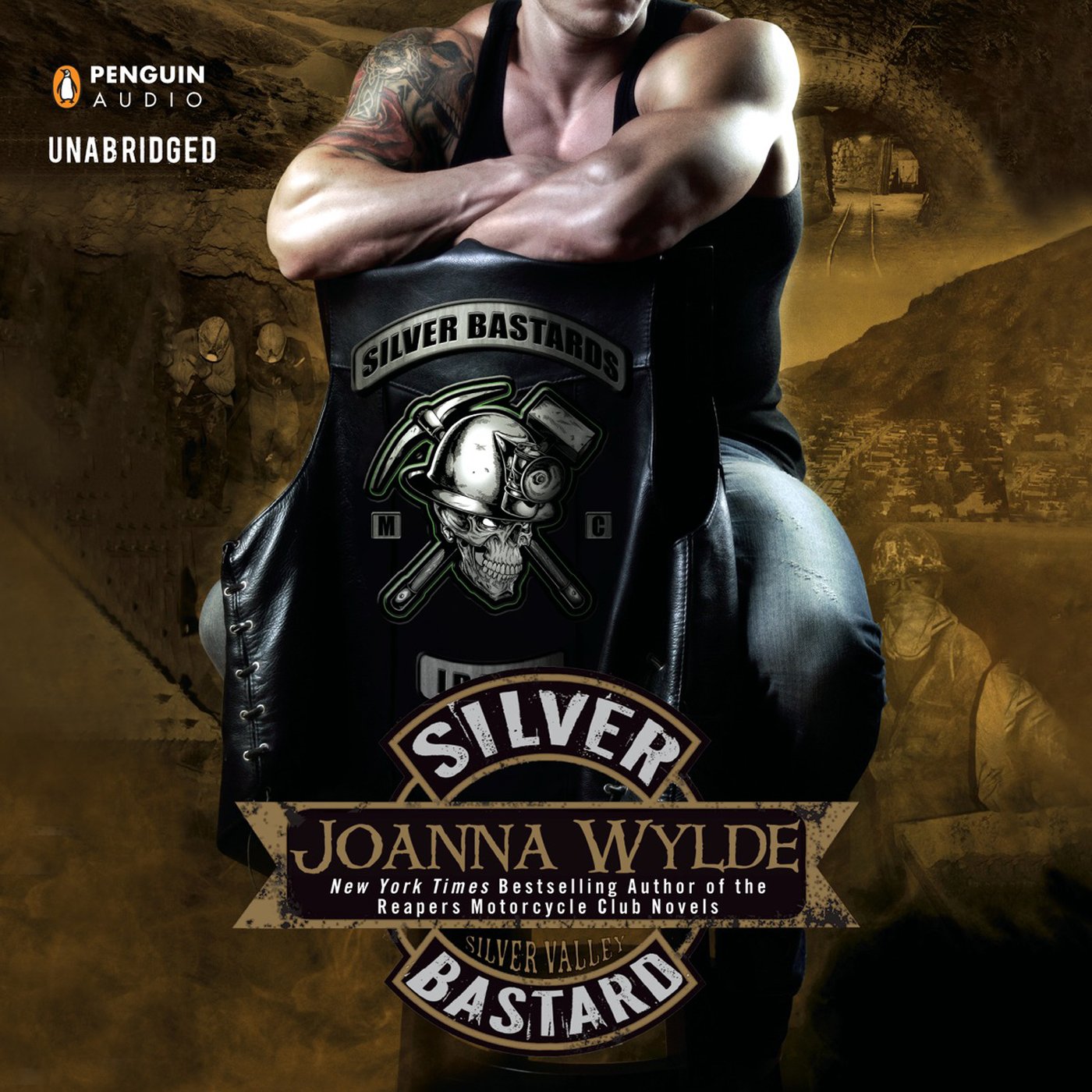 Cover art for Silver Bastard