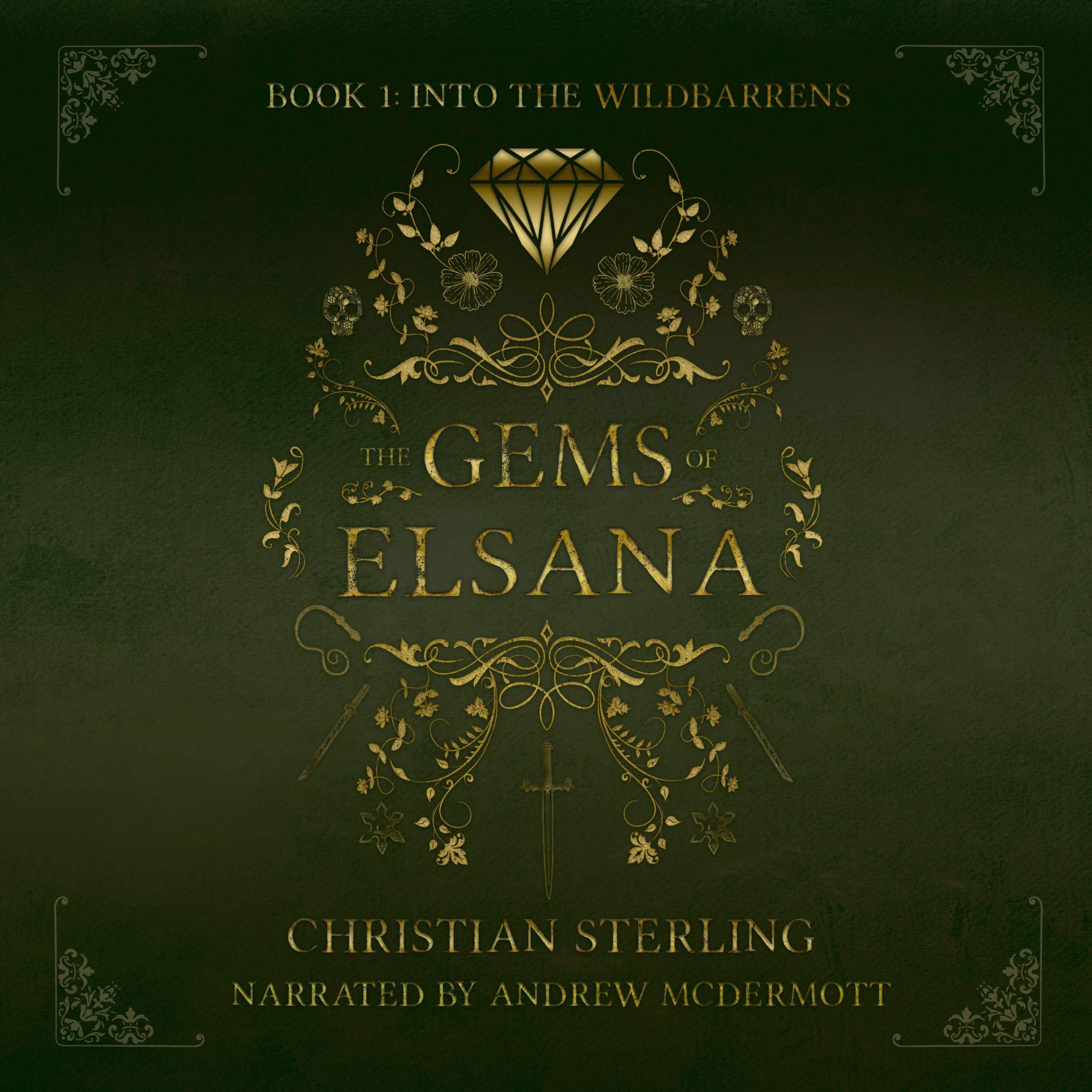 Cover art for The Gems of Elsana: Into the Wildbarrens