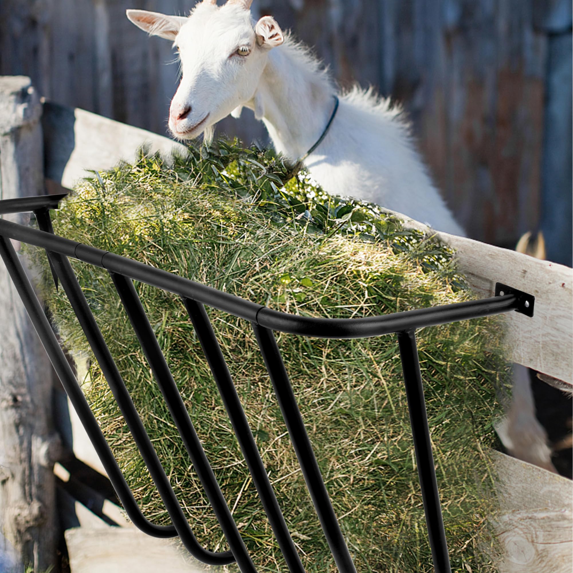 Show Rack Sheep Goat Feeding Rack QVQE 18-Gallon Hay Feeder For Goats & Sheep - Heavy ...