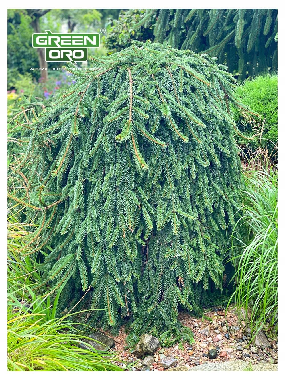 HYDRO AKI 24kg - Fertilizzante autunnale per thuja e conifere