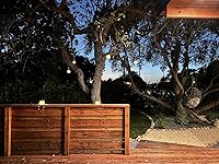 Review Image by Louise Robertson