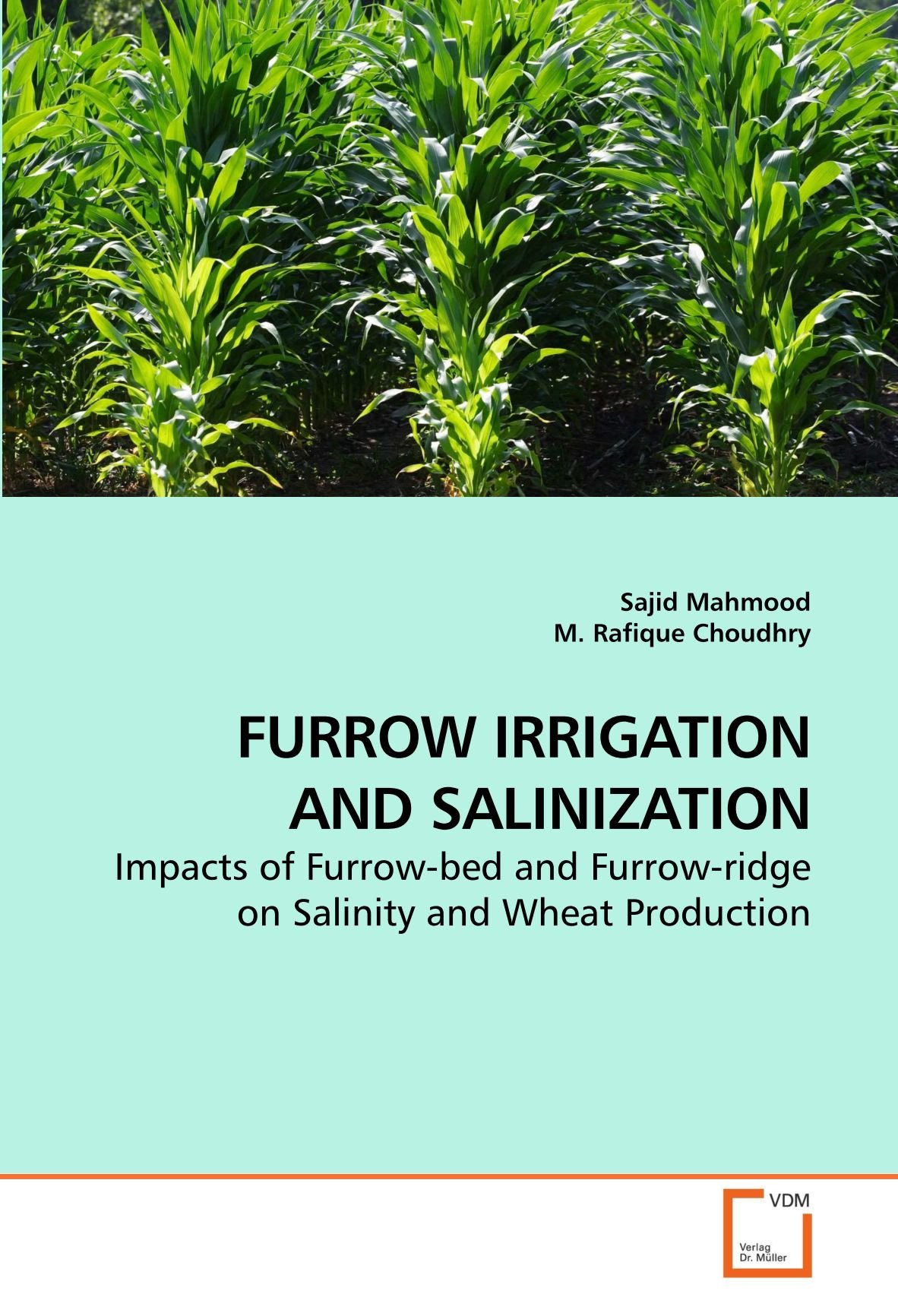 FURROW IRRIGATION AND SALINIZATION
