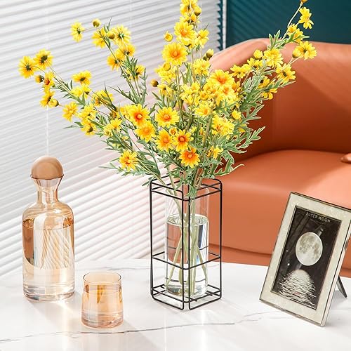 Miniatura 3 de Juego de 2 jarrones de cristal para sala de estar, dormitorio, 9.25 pulgadas, jarrones hidropónicos transparentes con marco de metal negro, paquete