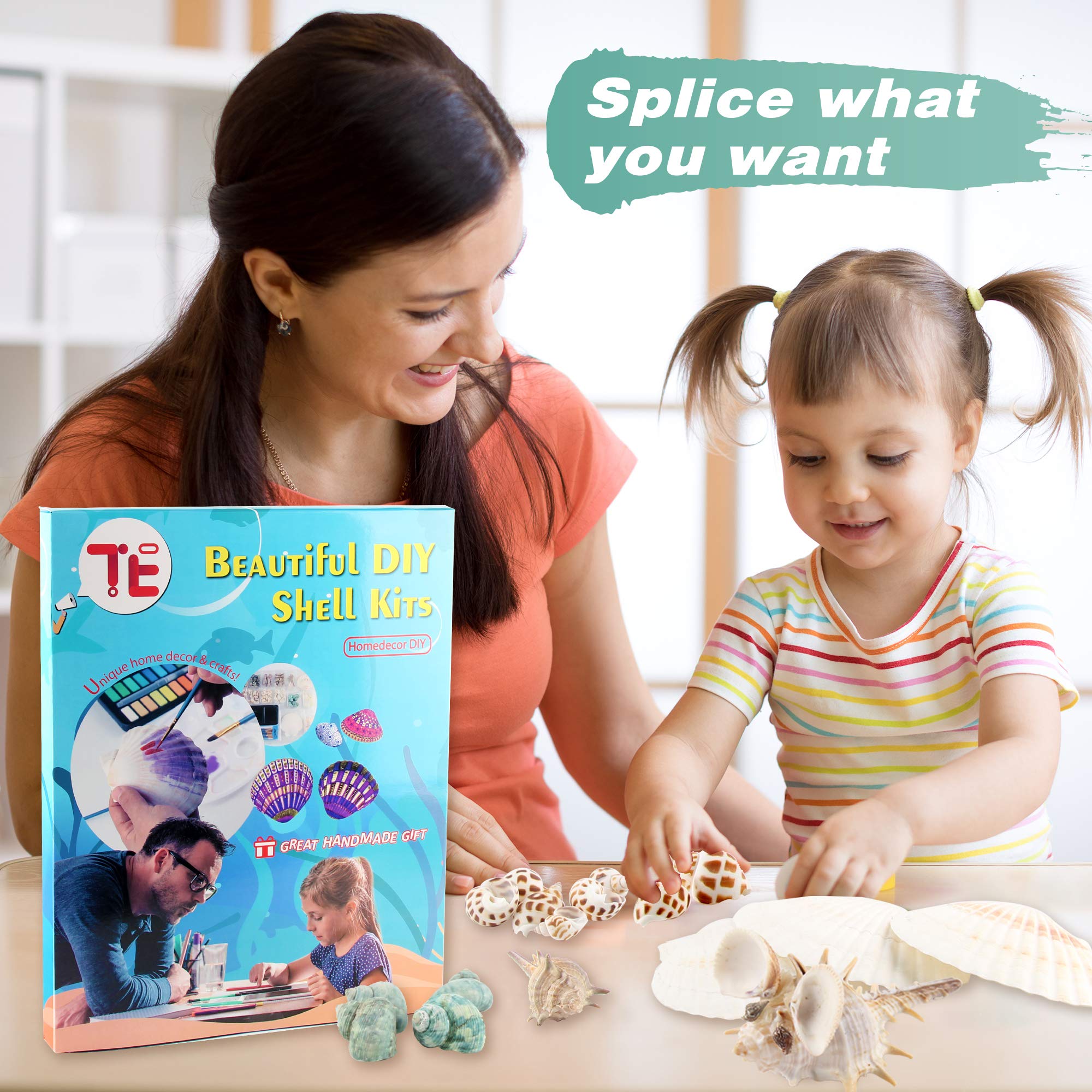 絵画用貝殻10点セット 絵画用貝殻10点セット