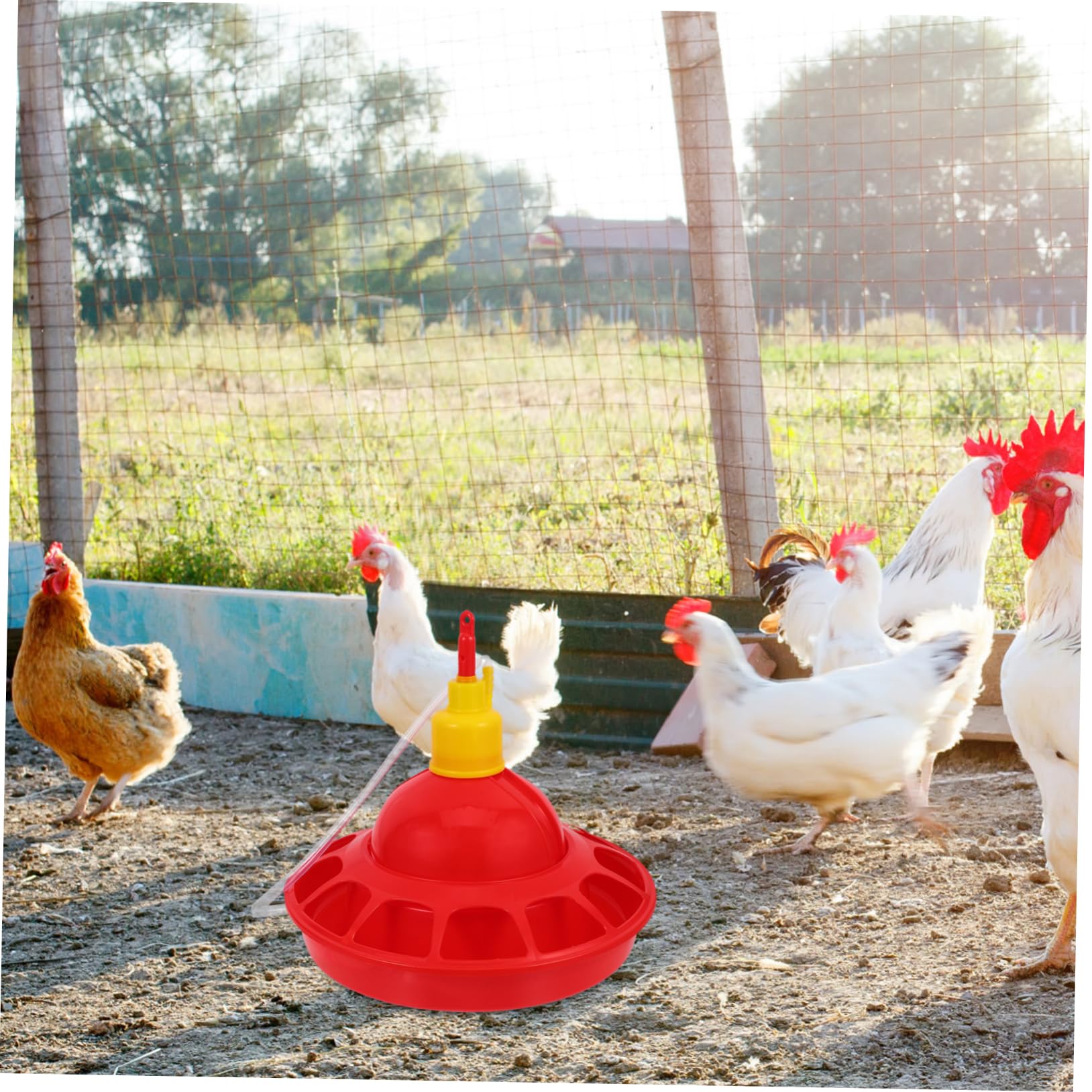 Abbeveratoio per Polli Rosso in Pp, Design Arrotondato | Uccelli e Pet Birds, Uso in Pet Shop e Zoo, Facile da Pulire, Struttura Robusta